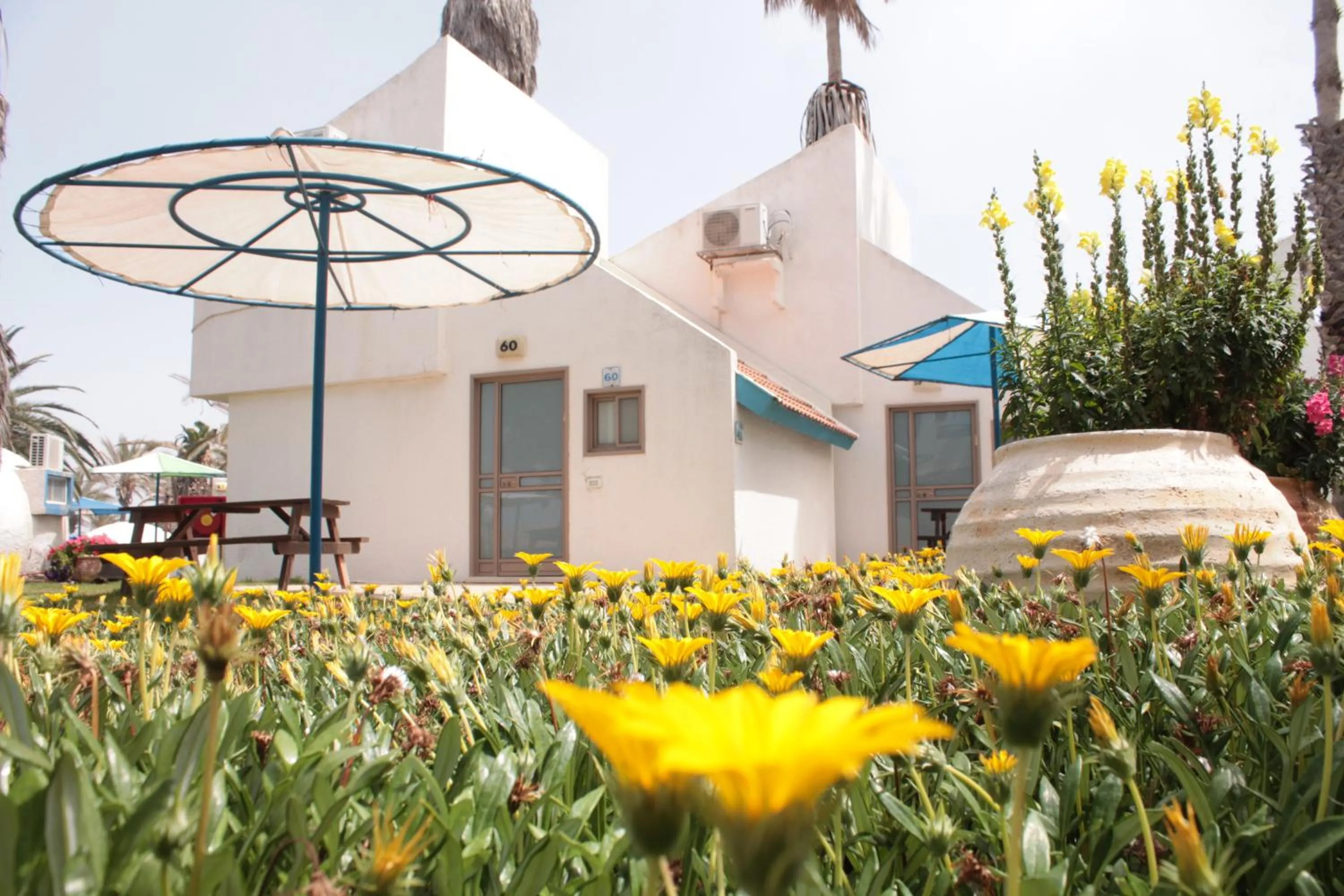 Patio in Dor village