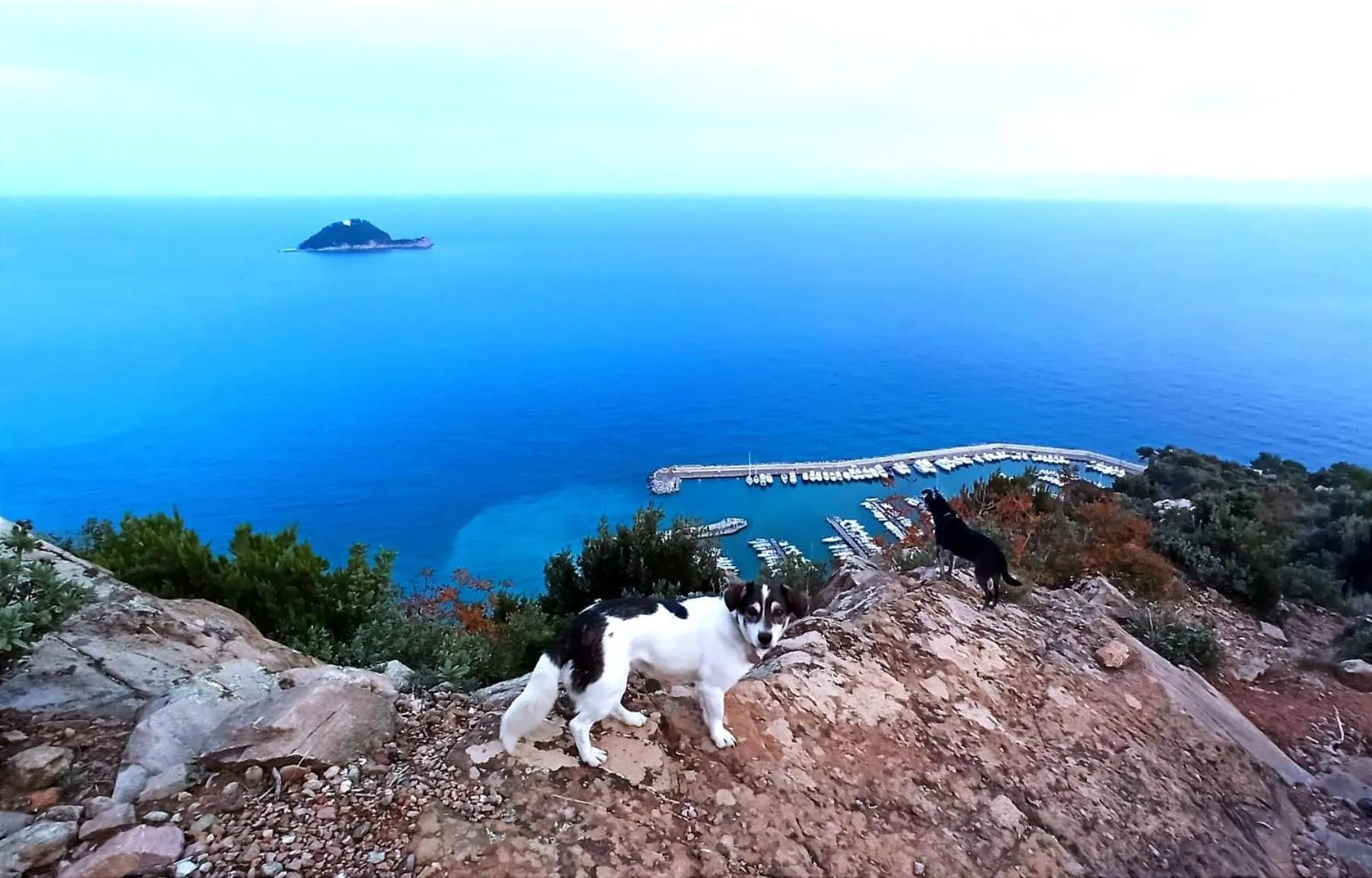 Natural landscape in Hotel Europa & Concordia