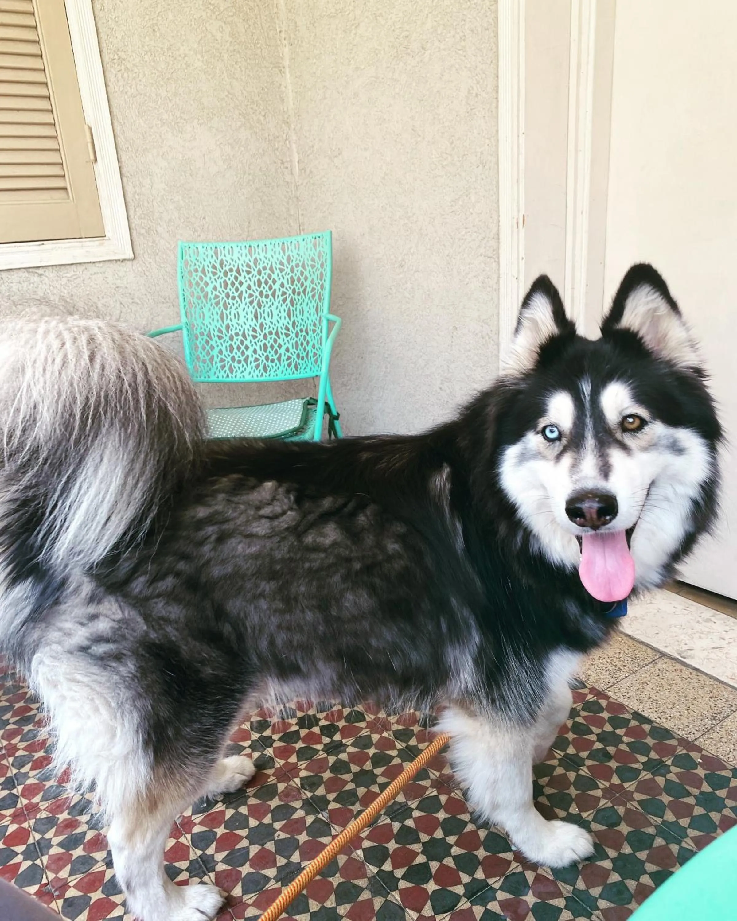 Balcony/Terrace in Eden Hotel
