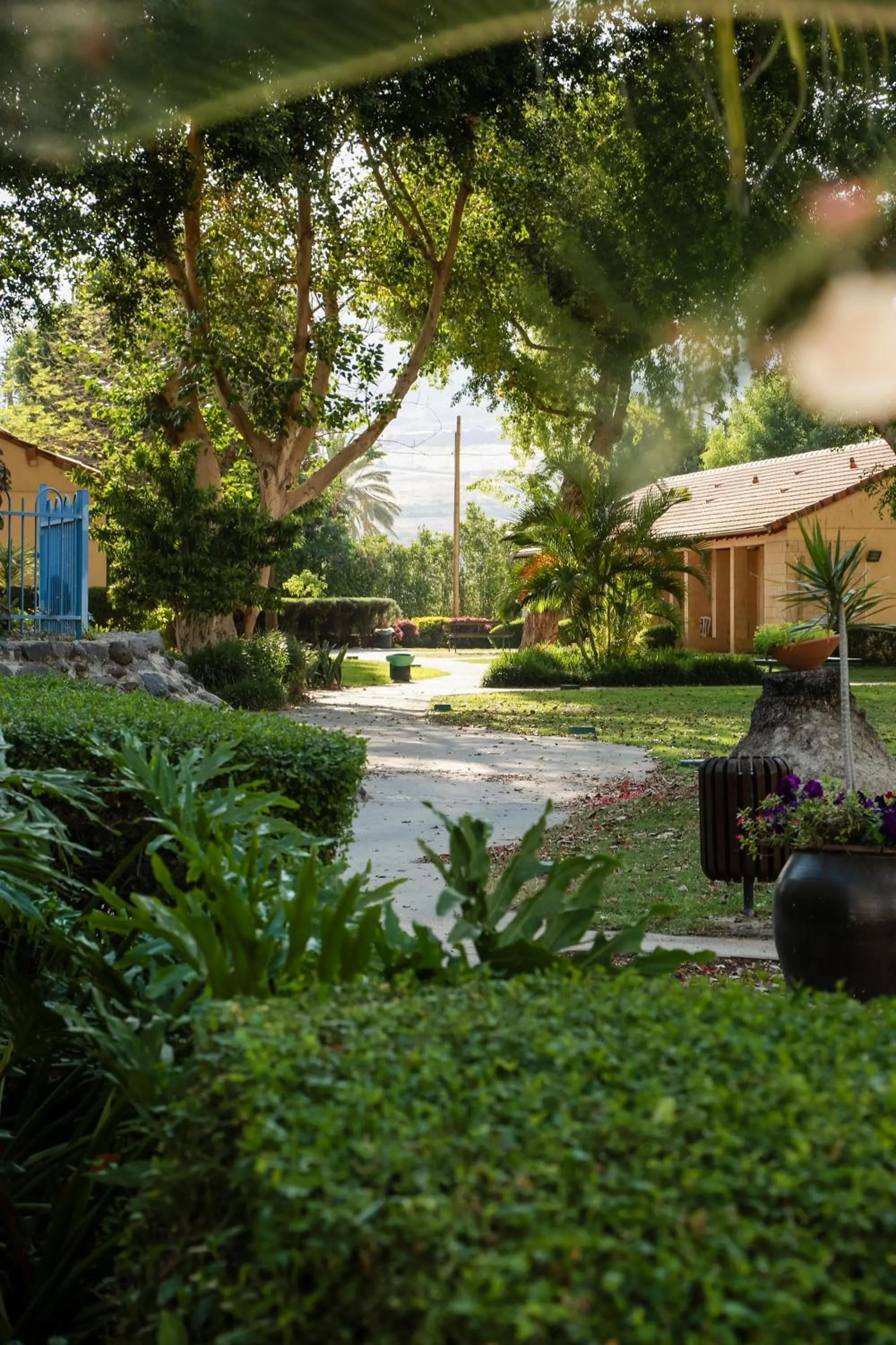 Property building in Jacob Ohalo Kinneret