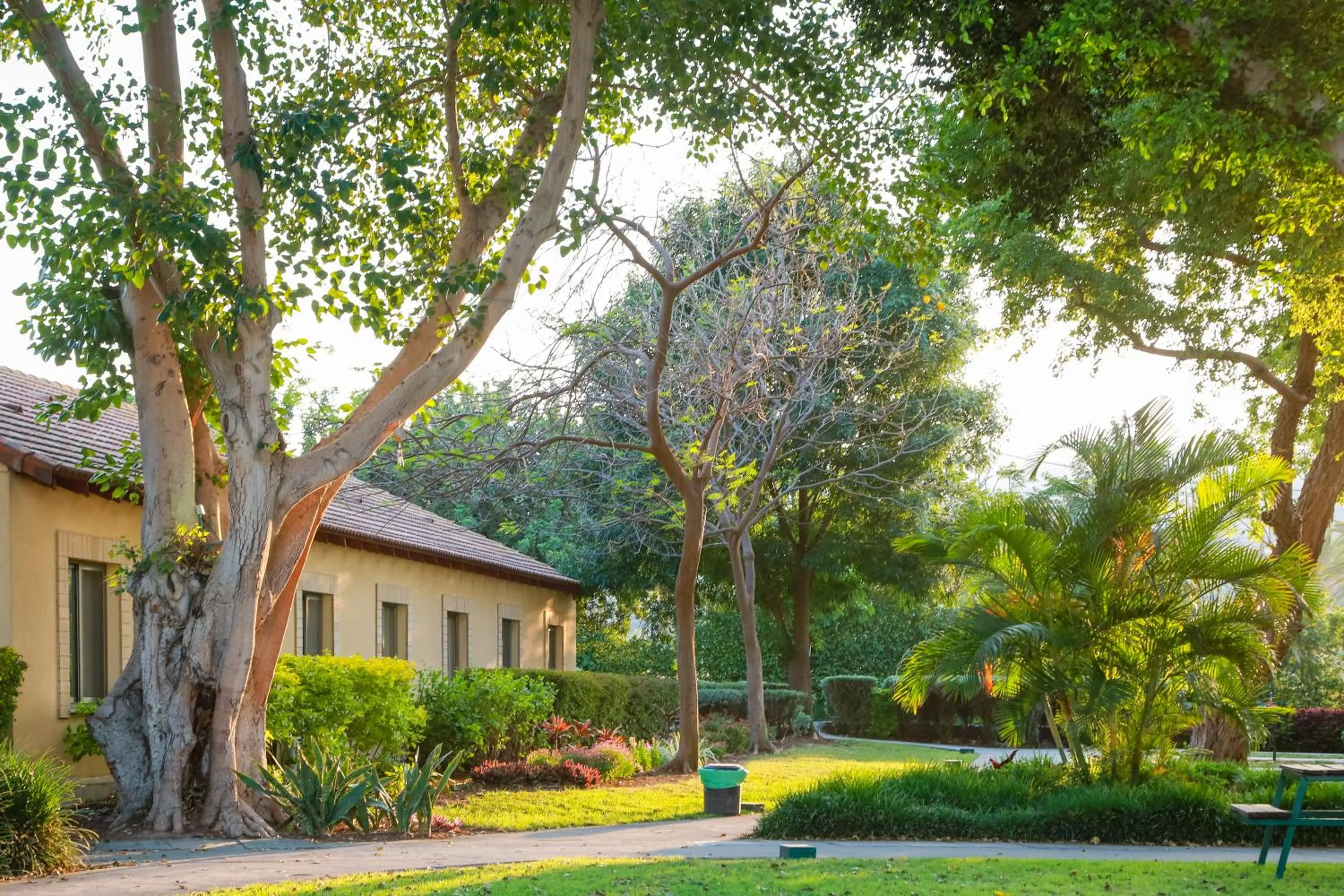 Property building in Jacob Ohalo Kinneret