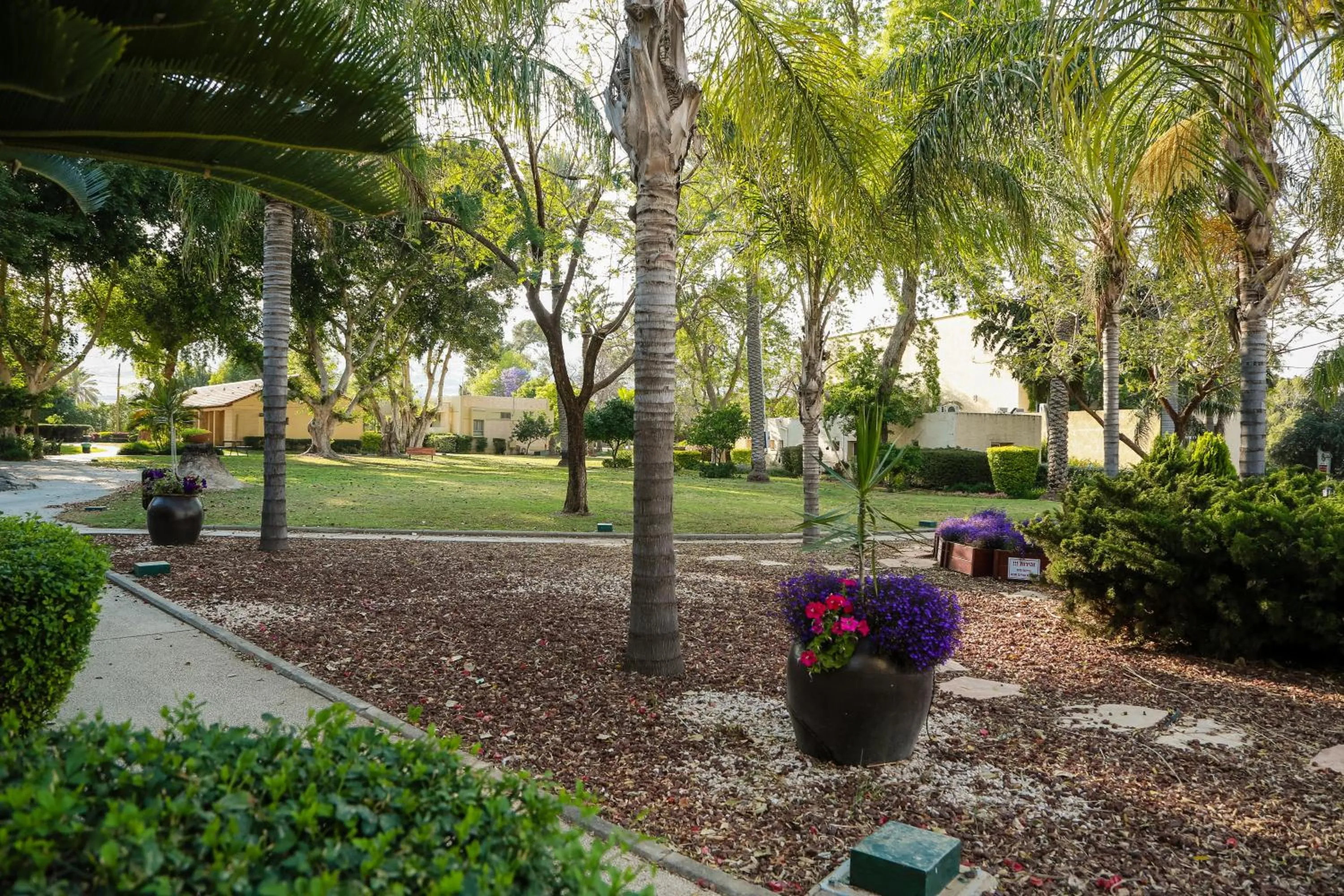 Garden in Jacob Ohalo Kinneret