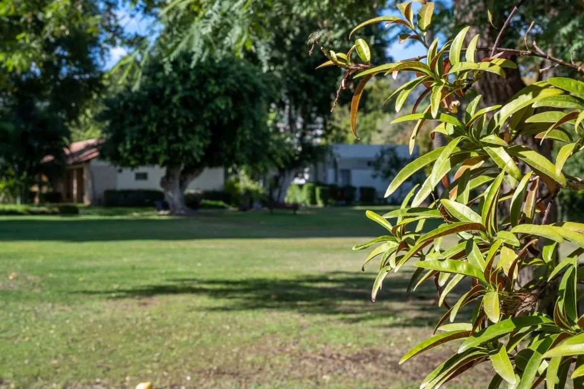 Day in Jacob Ohalo Kinneret