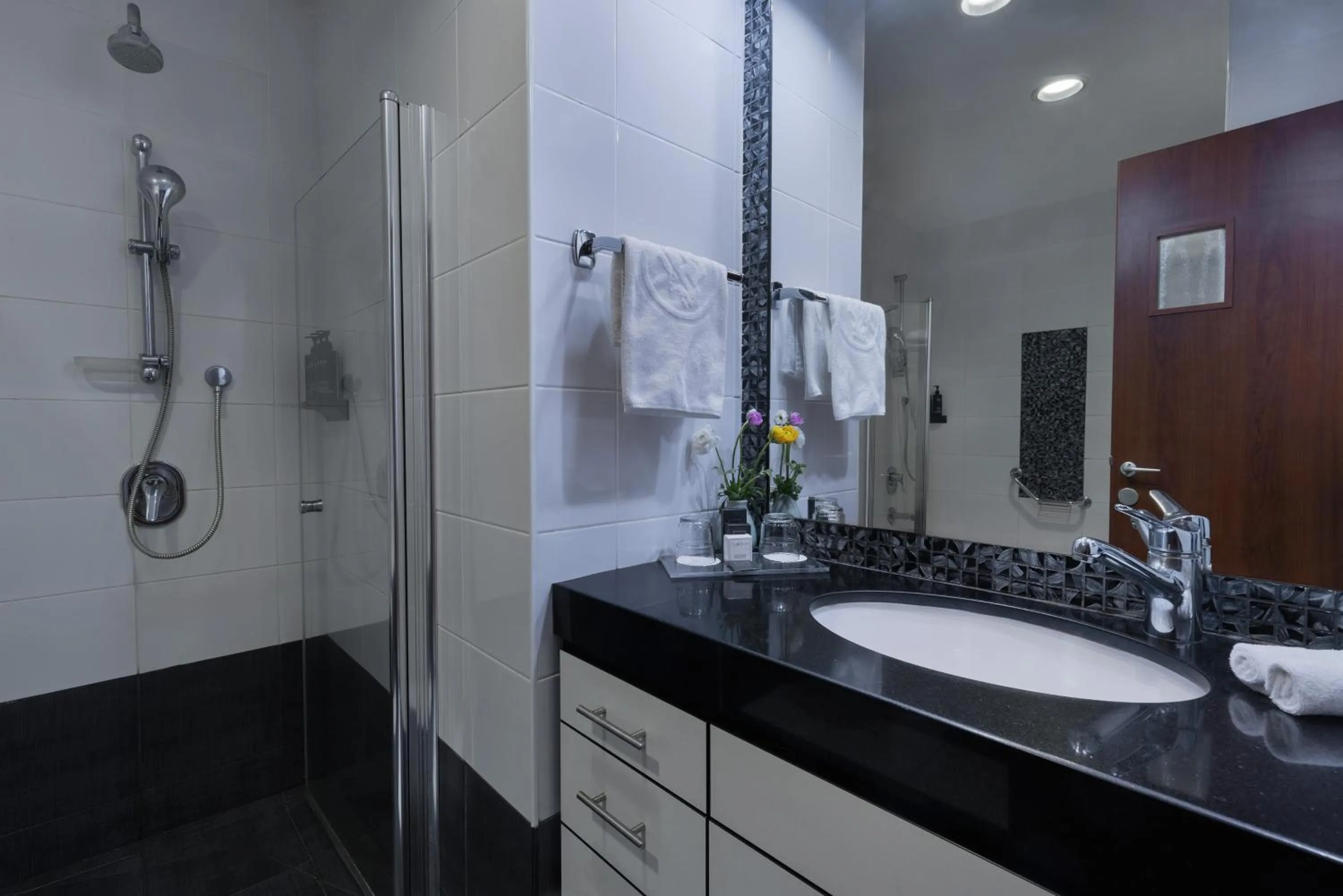 Shower in Kfar Maccabiah Business & Sport Hotel