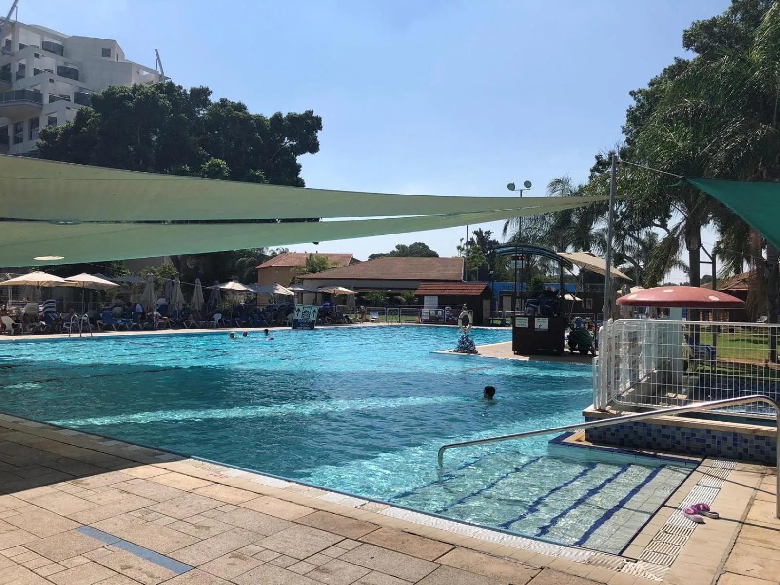 Swimming pool in Kfar Maccabiah Business & Sport Hotel