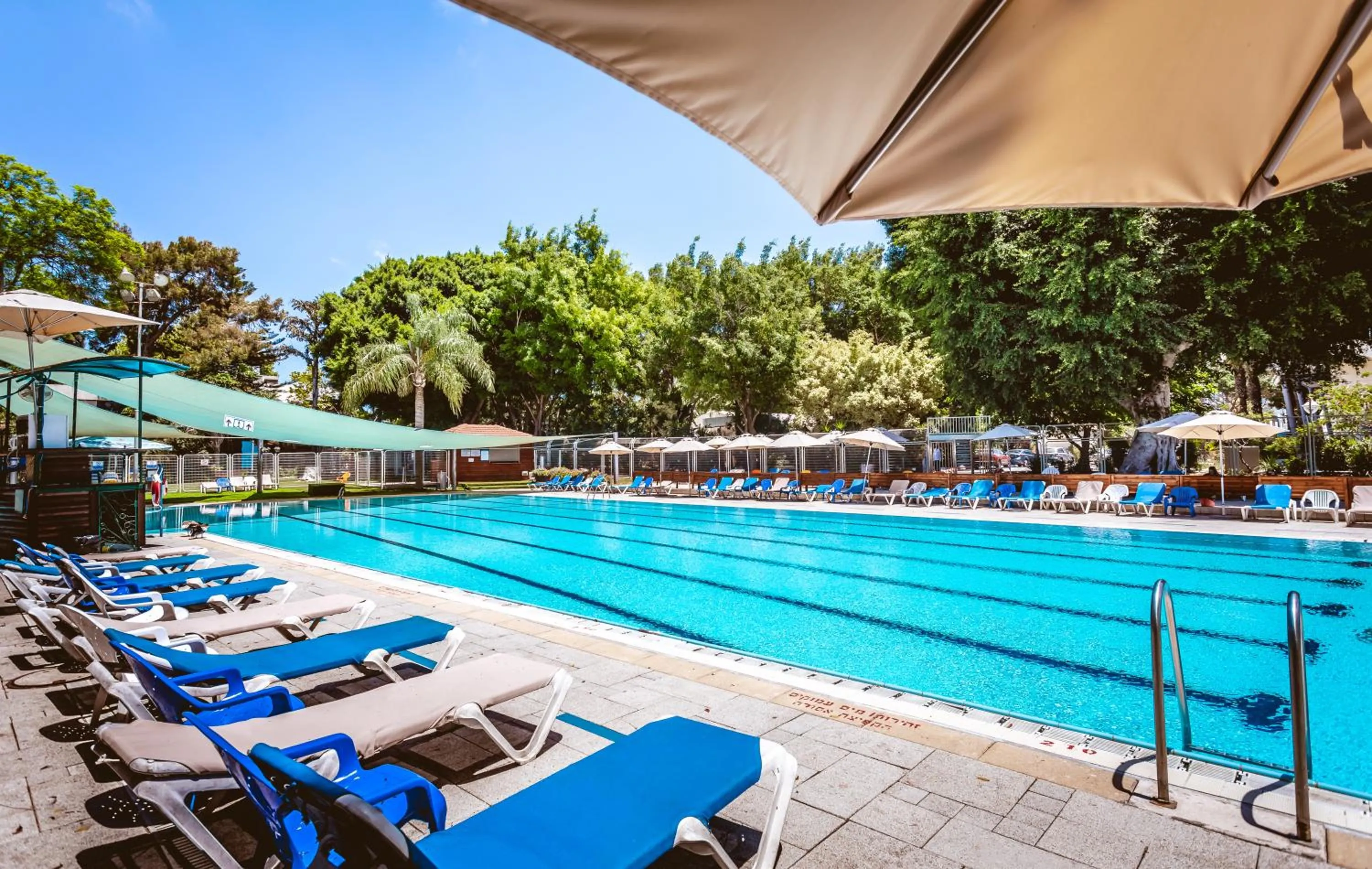 Swimming pool in Kfar Maccabiah Business & Sport Hotel