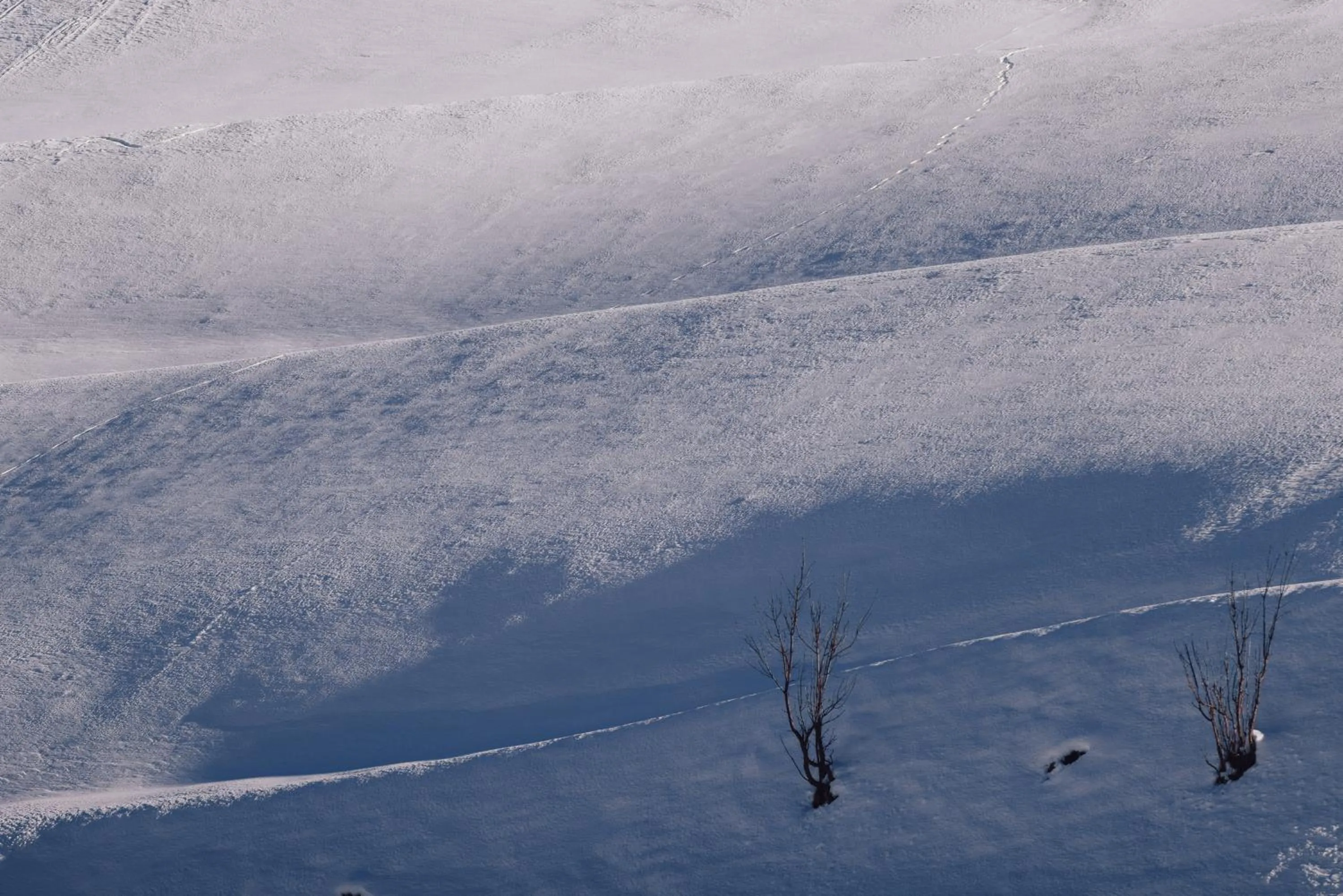Natural landscape in Wellness Refugium & Resort Hotel Alpin Royal - Small Luxury Hotels of the World