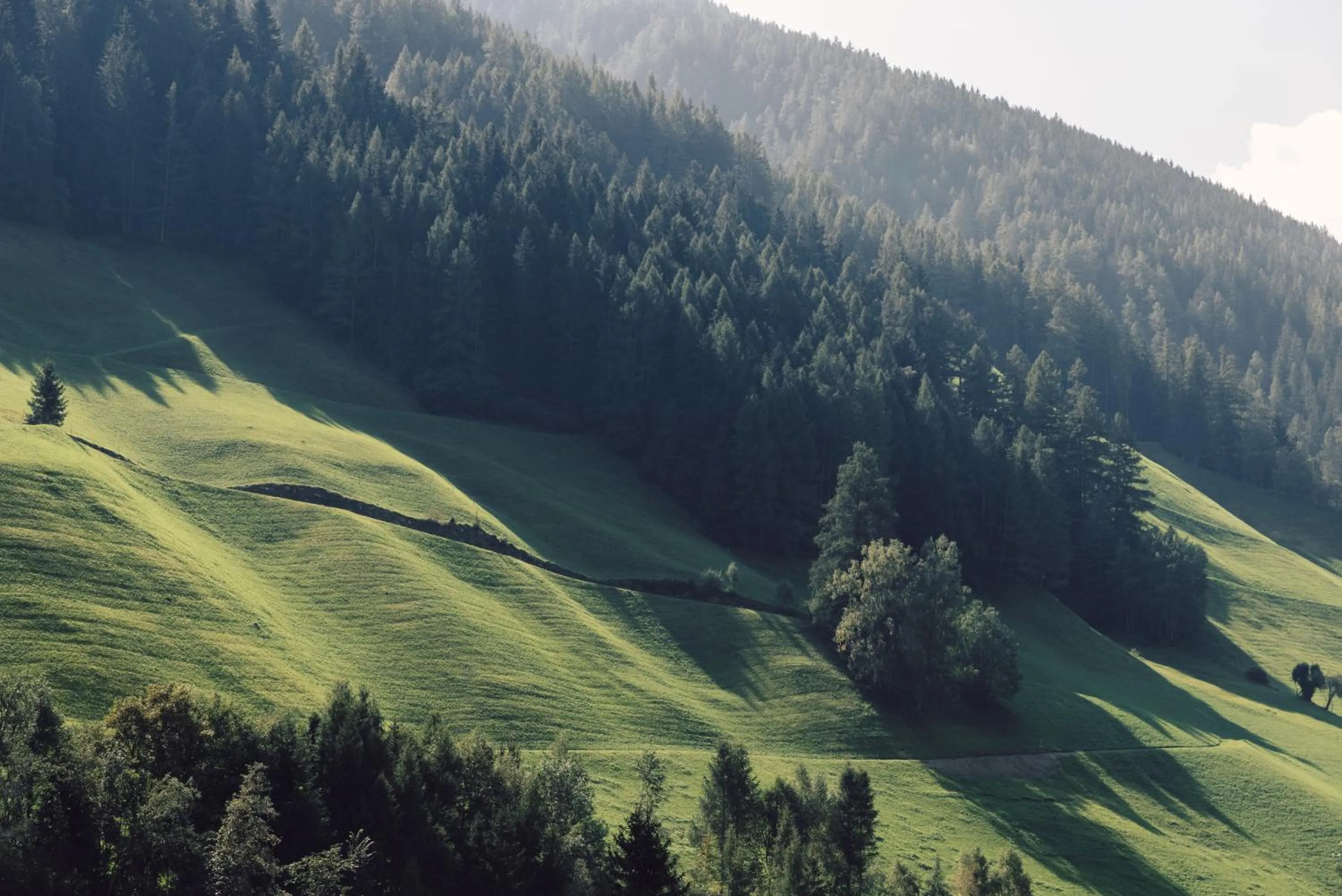 Natural landscape in Wellness Refugium & Resort Hotel Alpin Royal - Small Luxury Hotels of the World