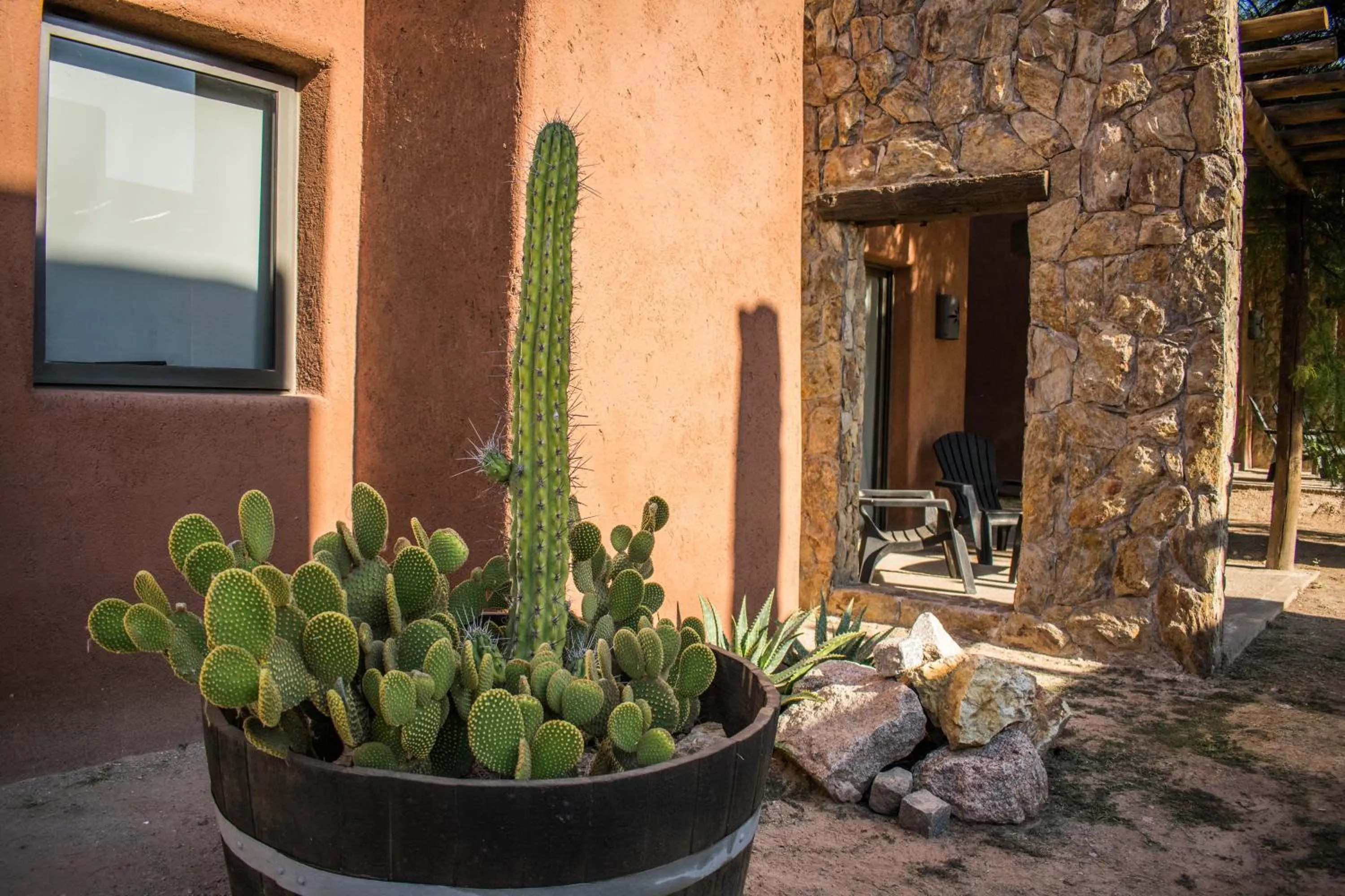 Garden in La Guadalupe Cabañas