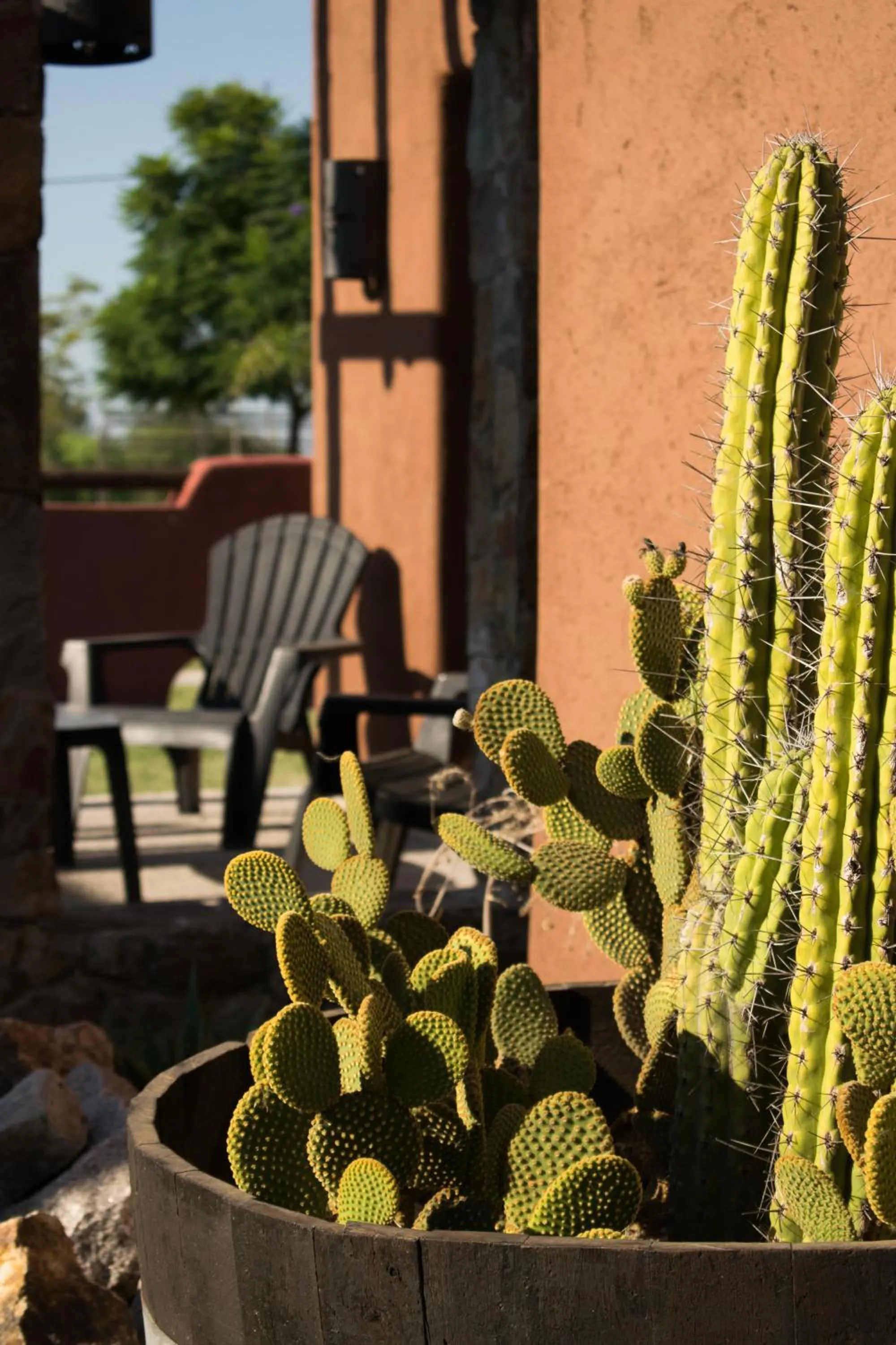 Off site in La Guadalupe Cabañas