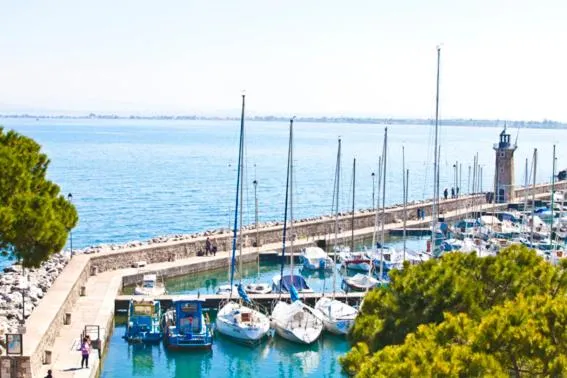 Area and facilities in Hotel Vittorio