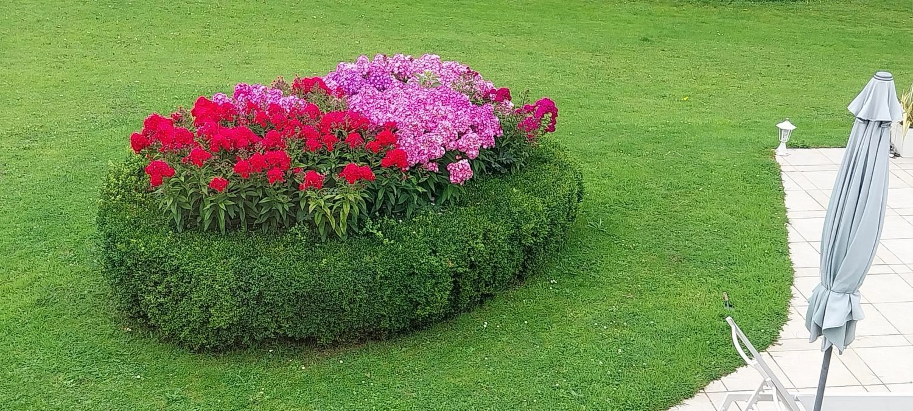 Garden in Le Point du Jour