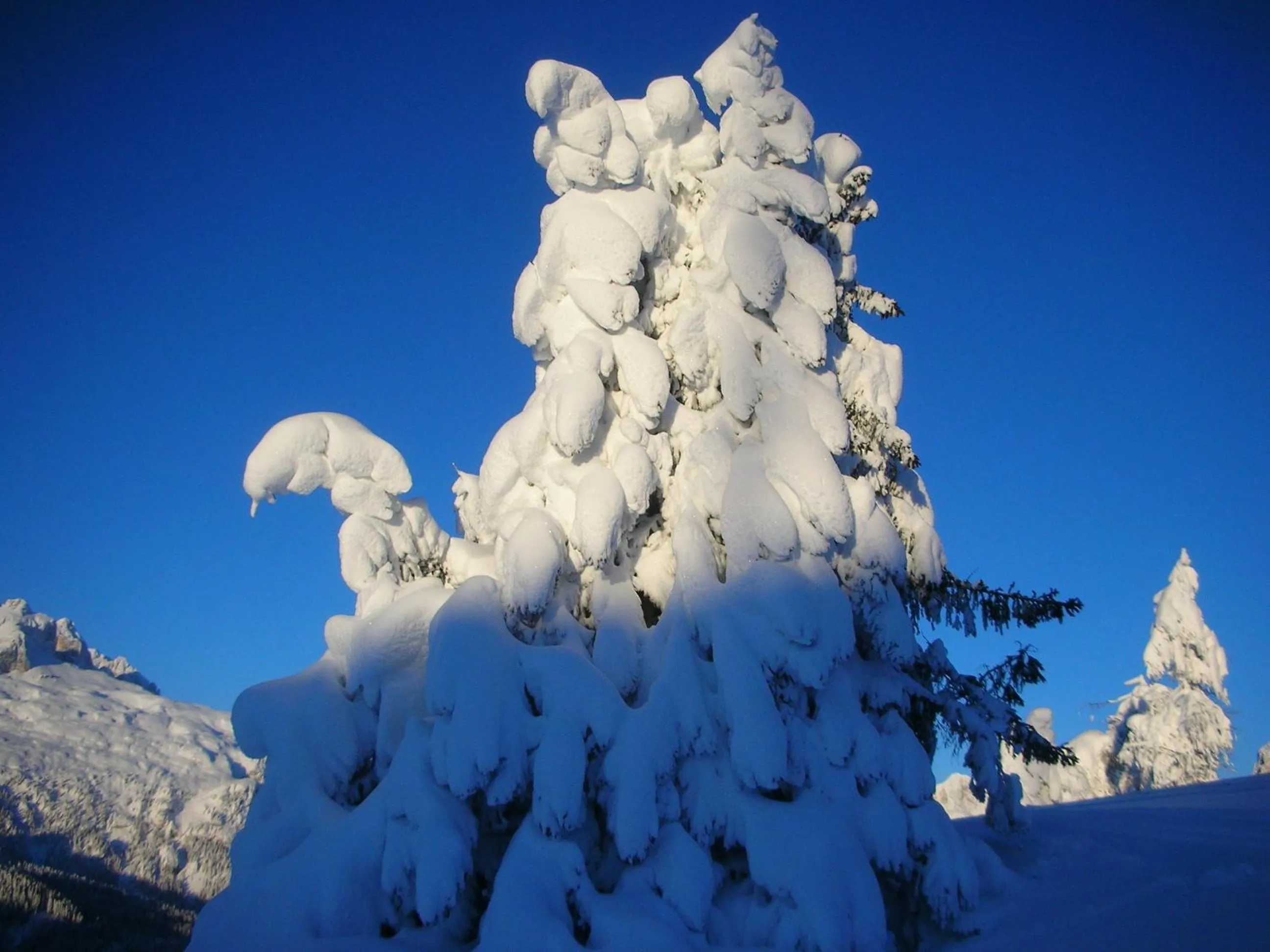 Day in Sporthotel Panorama