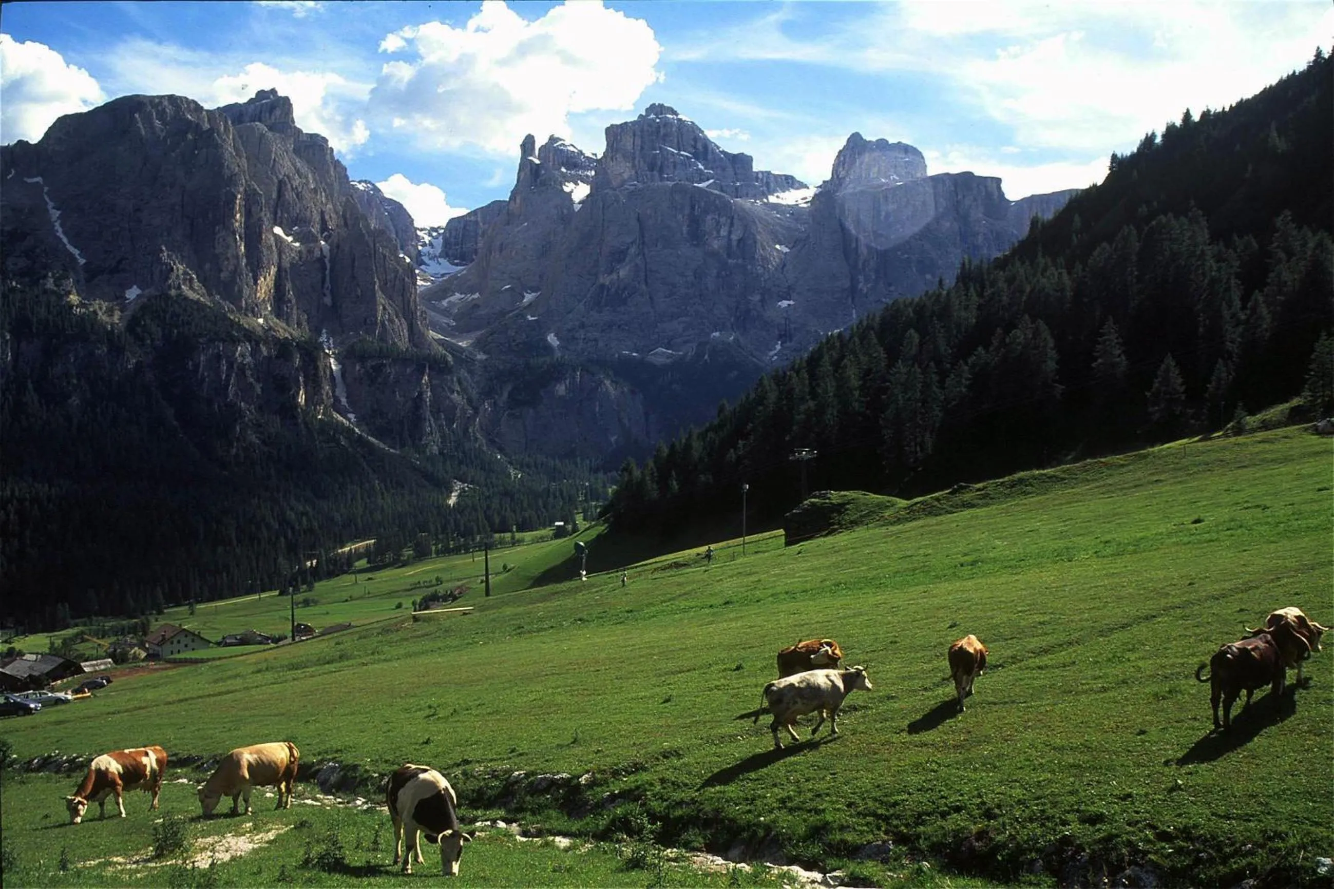 Day in Sporthotel Panorama