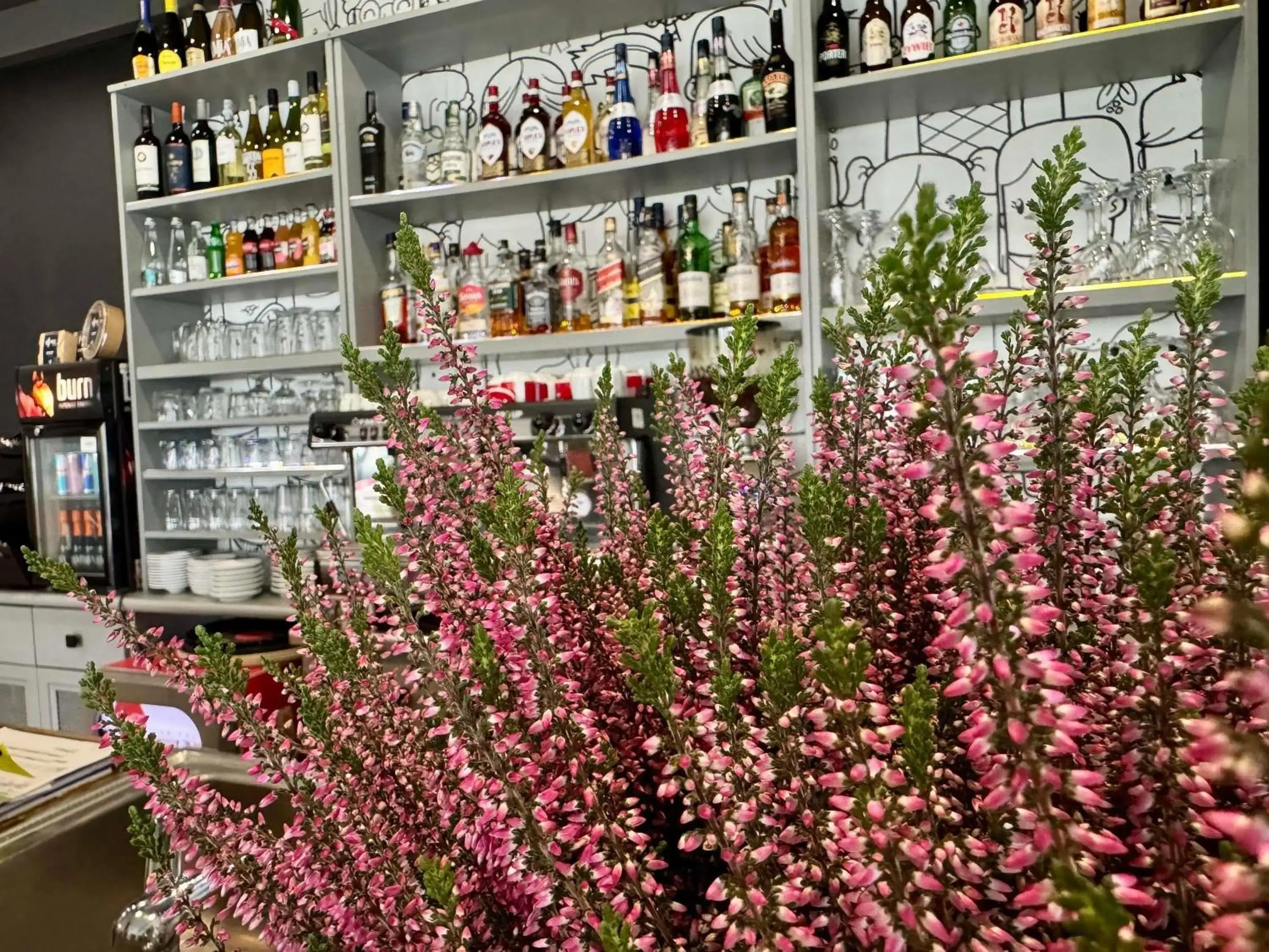 Restaurant/places to eat in Ibis Katowice - Zabrze Restaurant/places to eat in Ibis Katowice - Zabrze