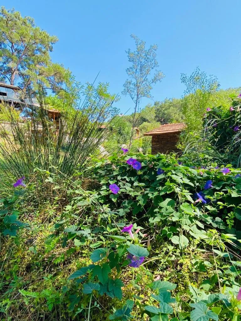 HavaSuPark Bungalows