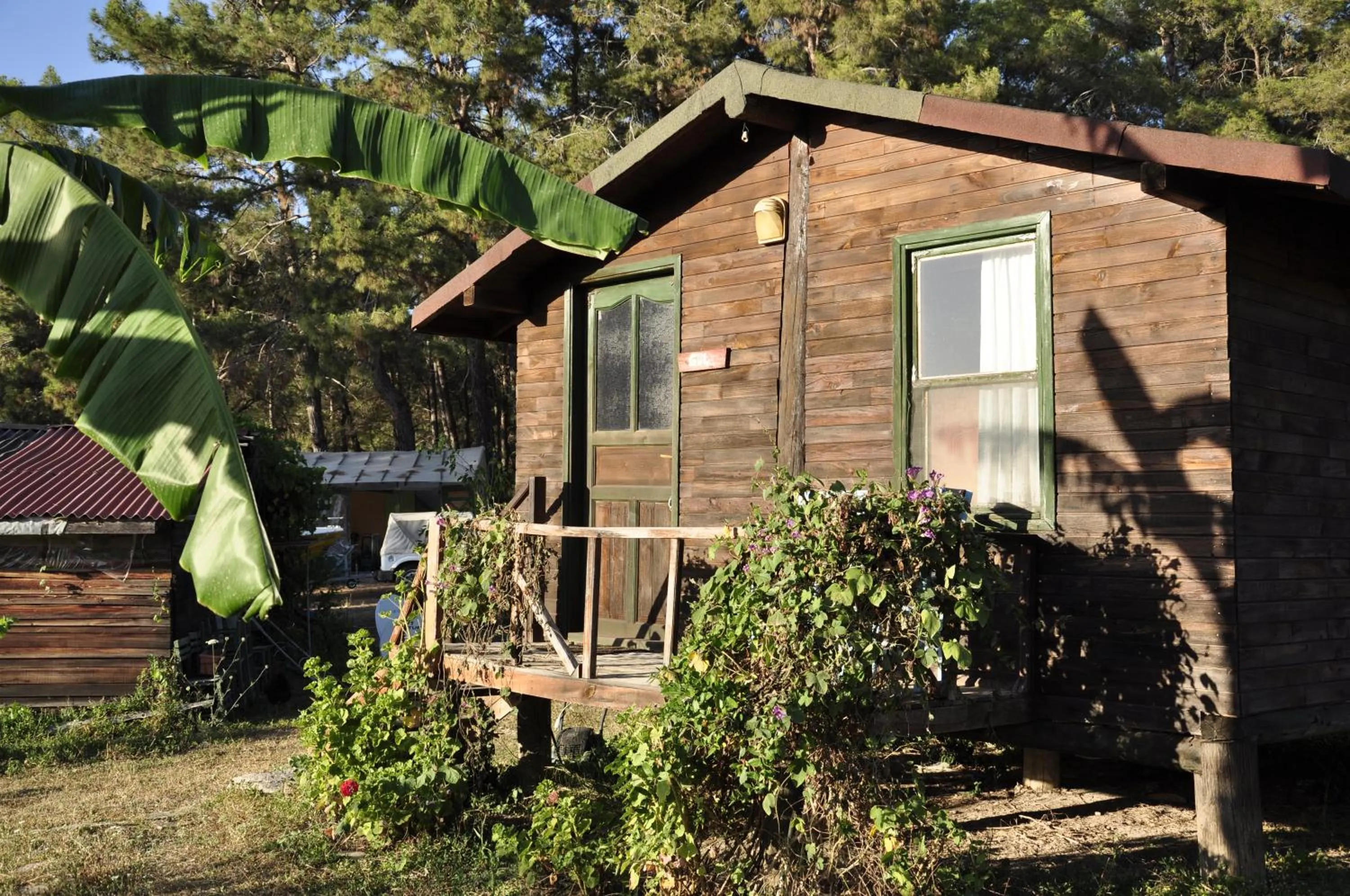 Photo of the whole room in HavaSuPark Bungalows