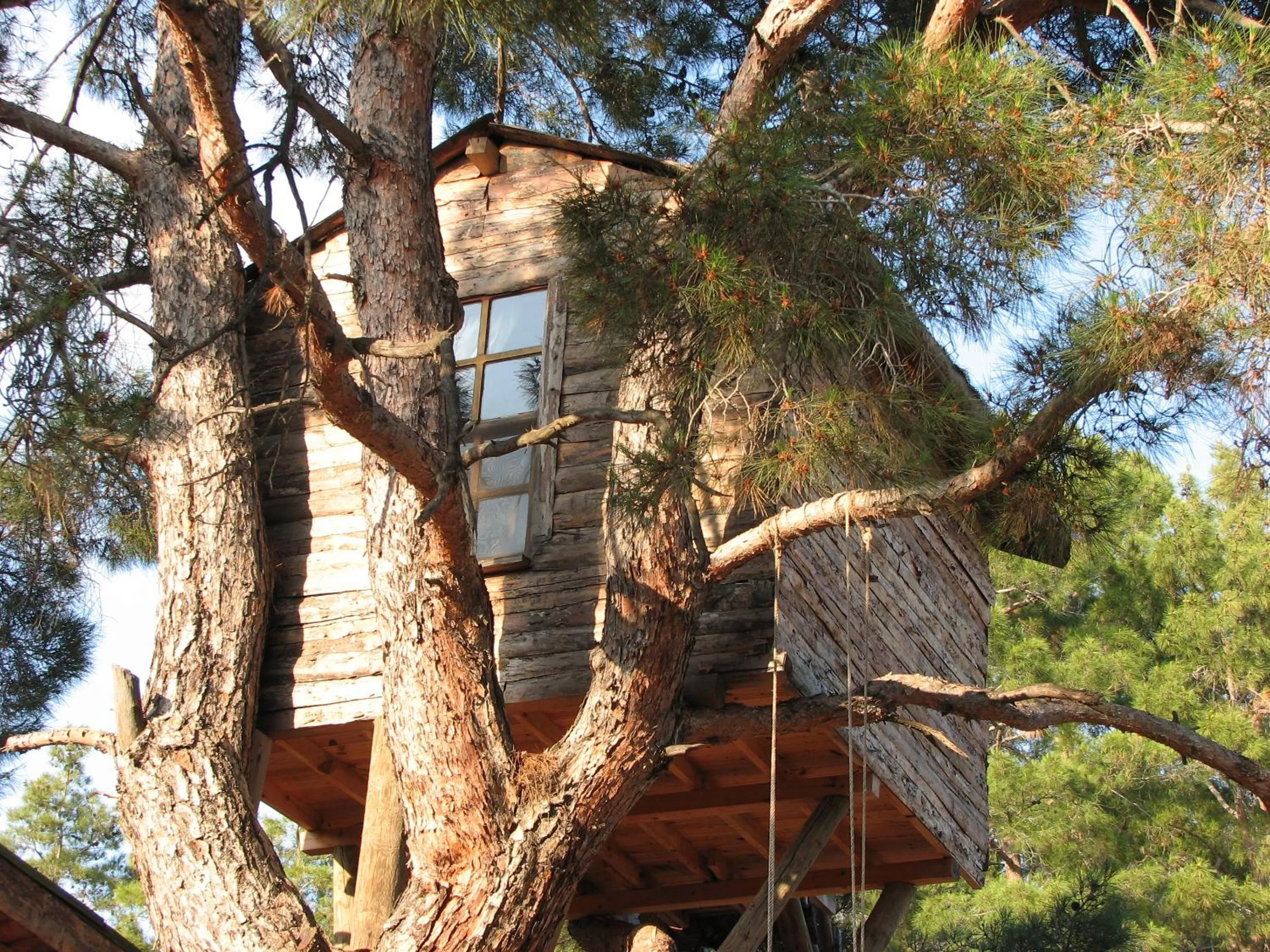 Photo of the whole room in HavaSuPark Bungalows