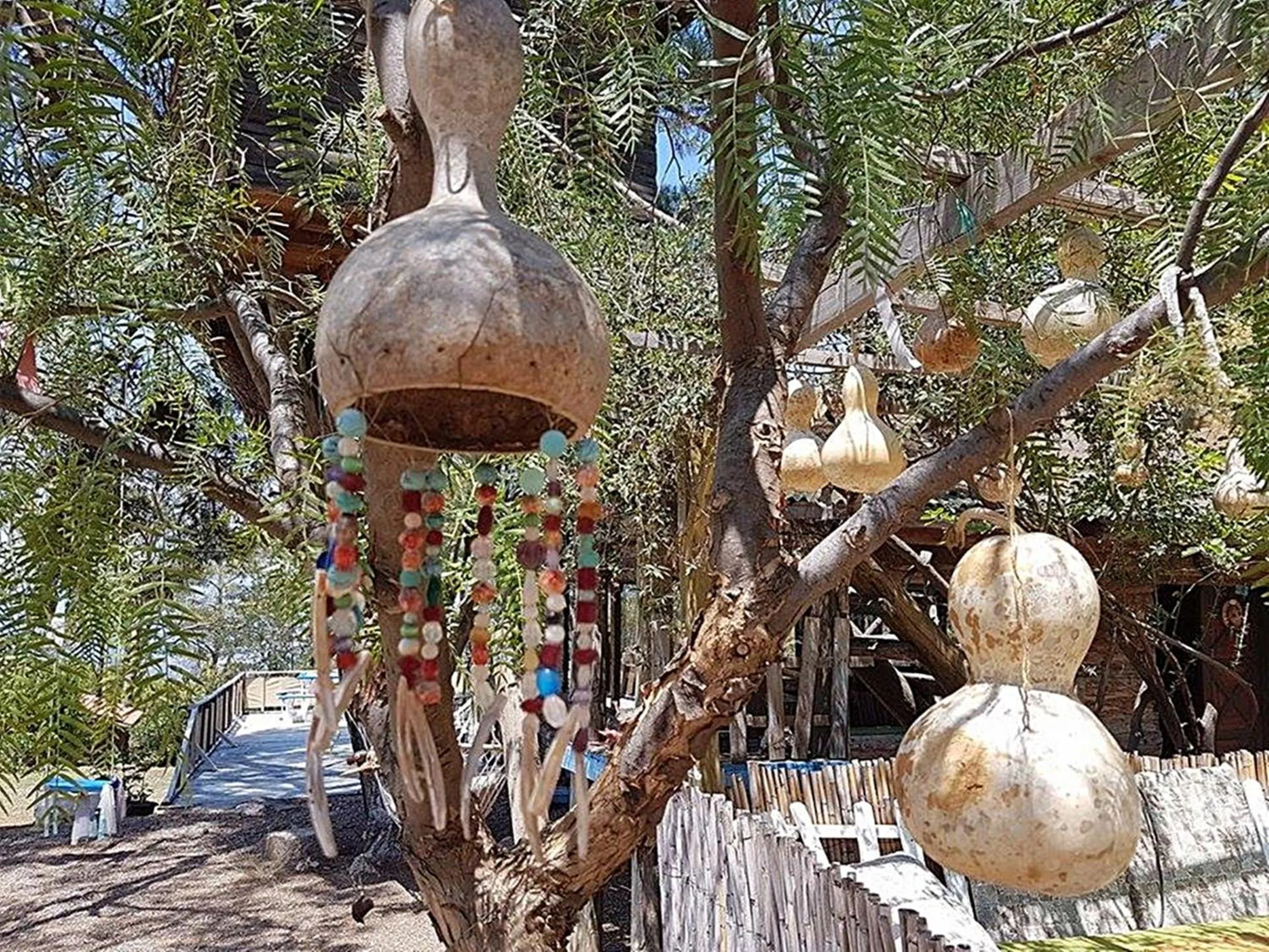 On site in HavaSuPark Bungalows