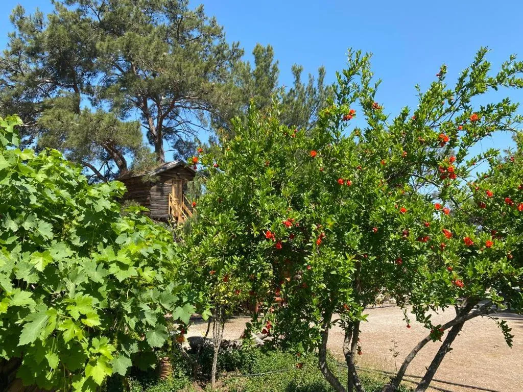 HavaSuPark Bungalows