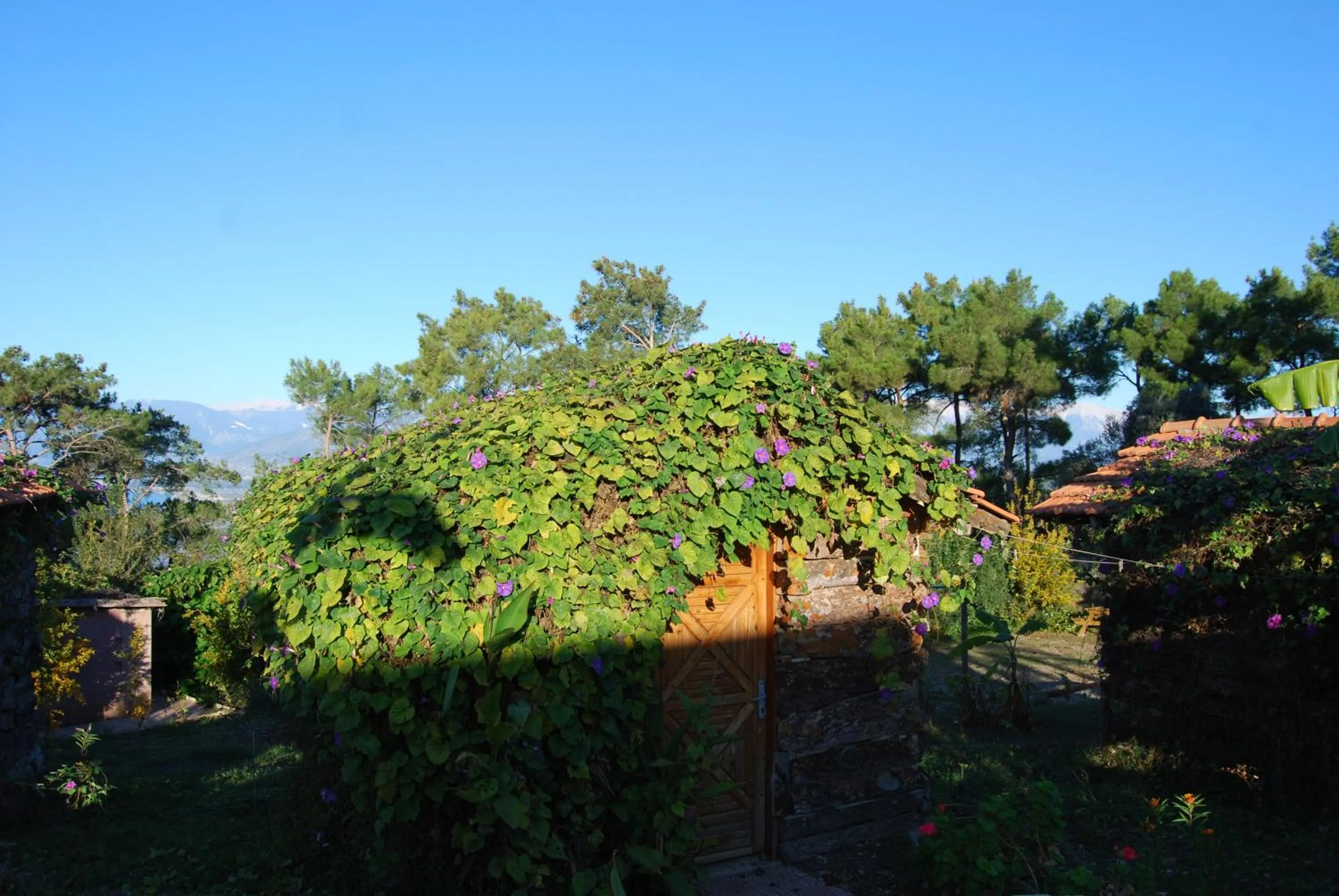 On site in HavaSuPark Bungalows