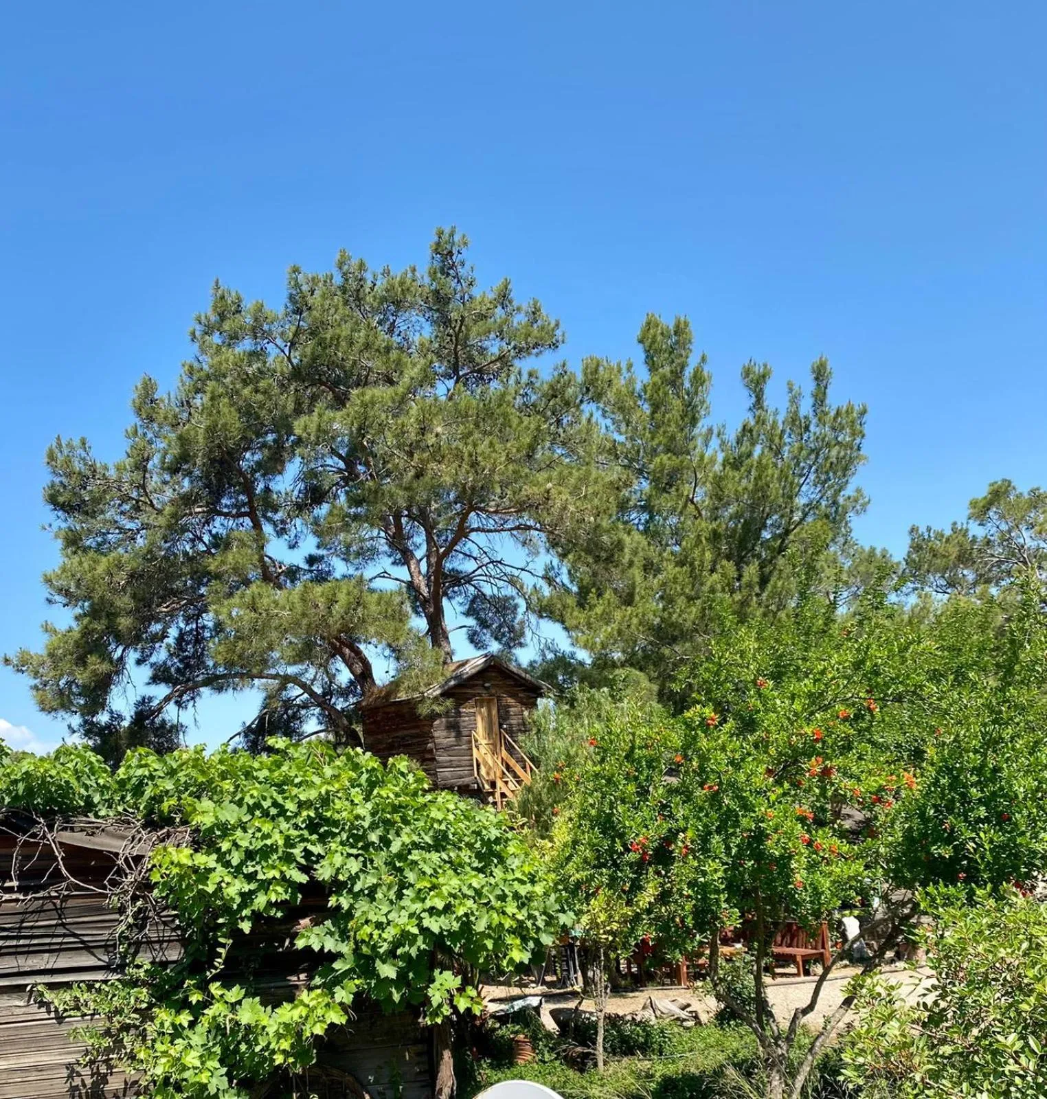 HavaSuPark Bungalows