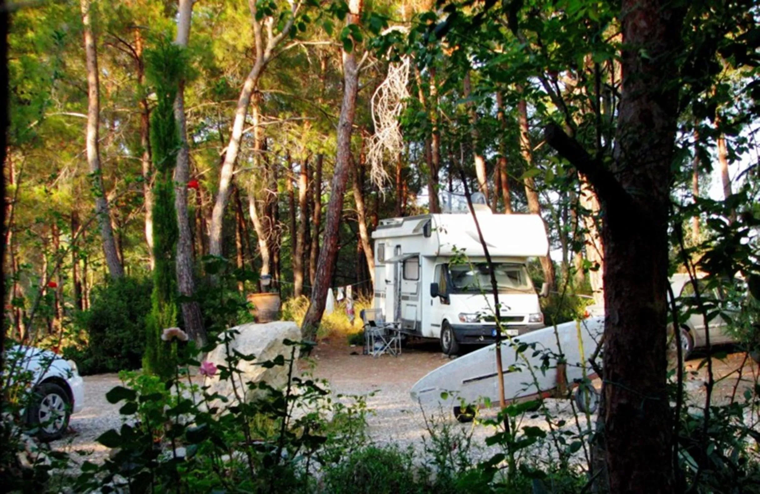 Garden in HavaSuPark Bungalows