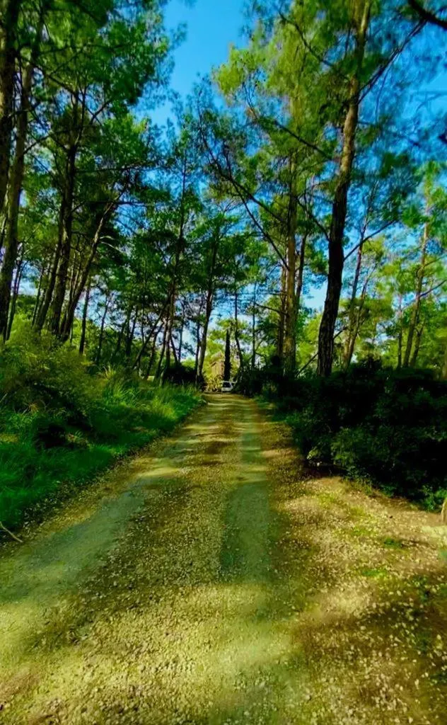 HavaSuPark Bungalows
