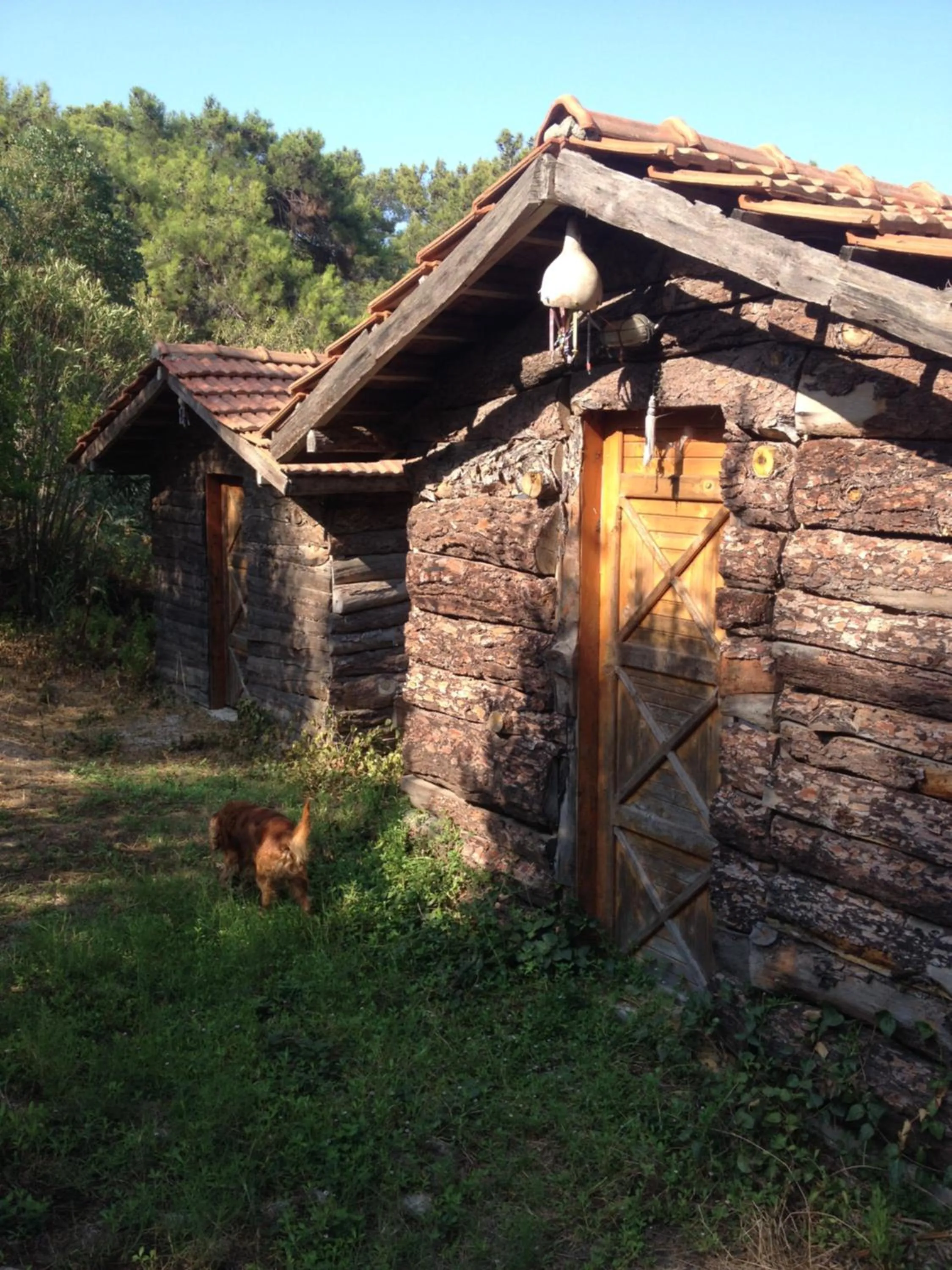 Photo of the whole room in HavaSuPark Bungalows