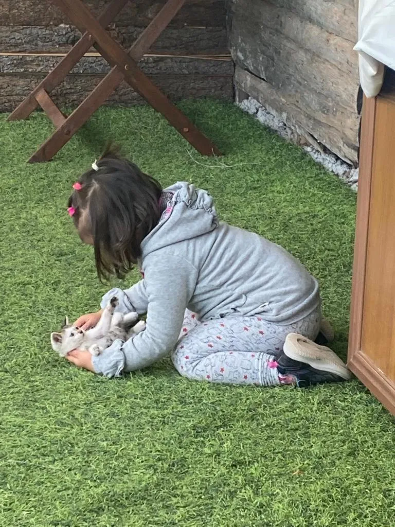 HavaSuPark Bungalows