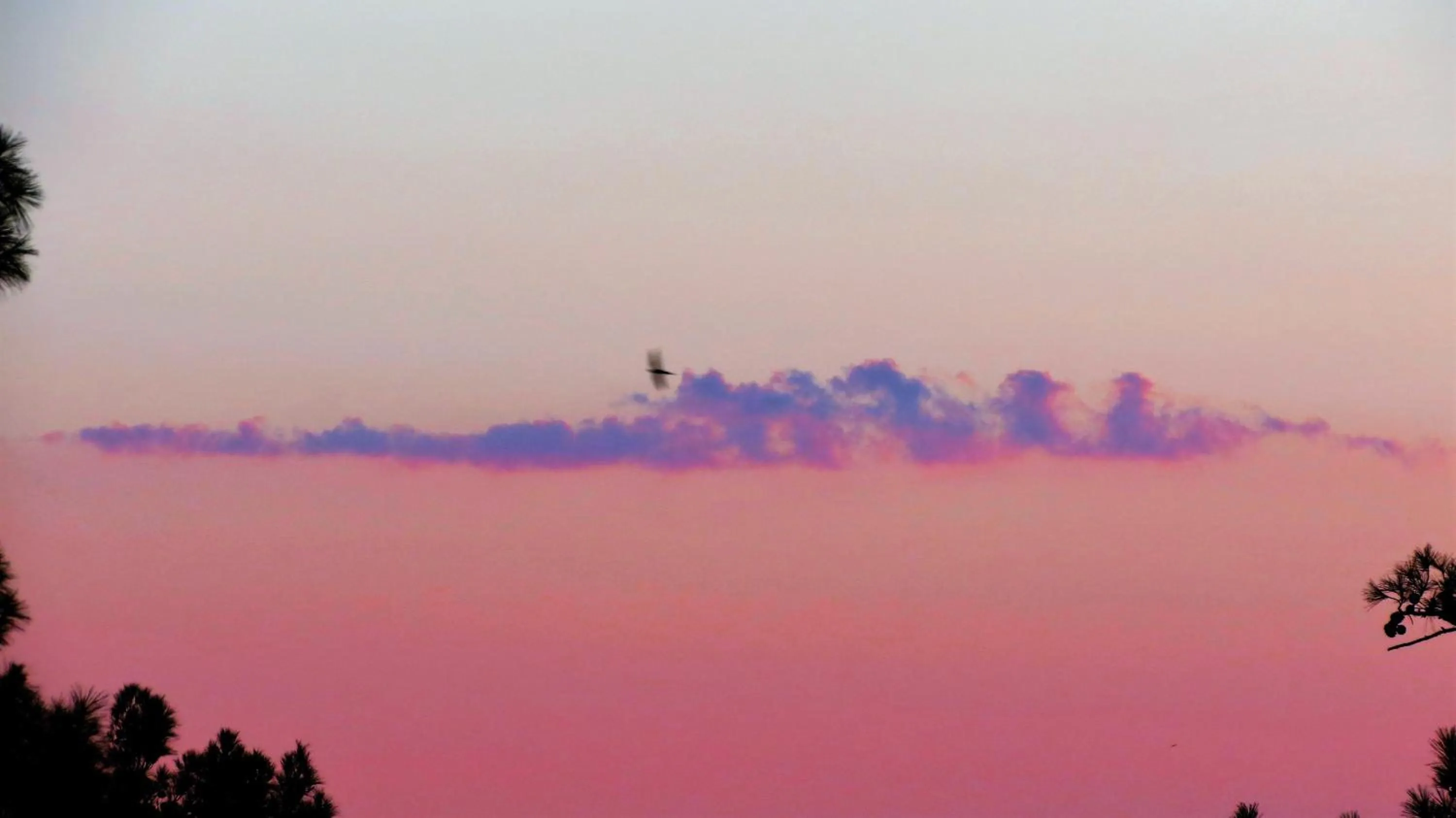 View (from property/room) in HavaSuPark Bungalows