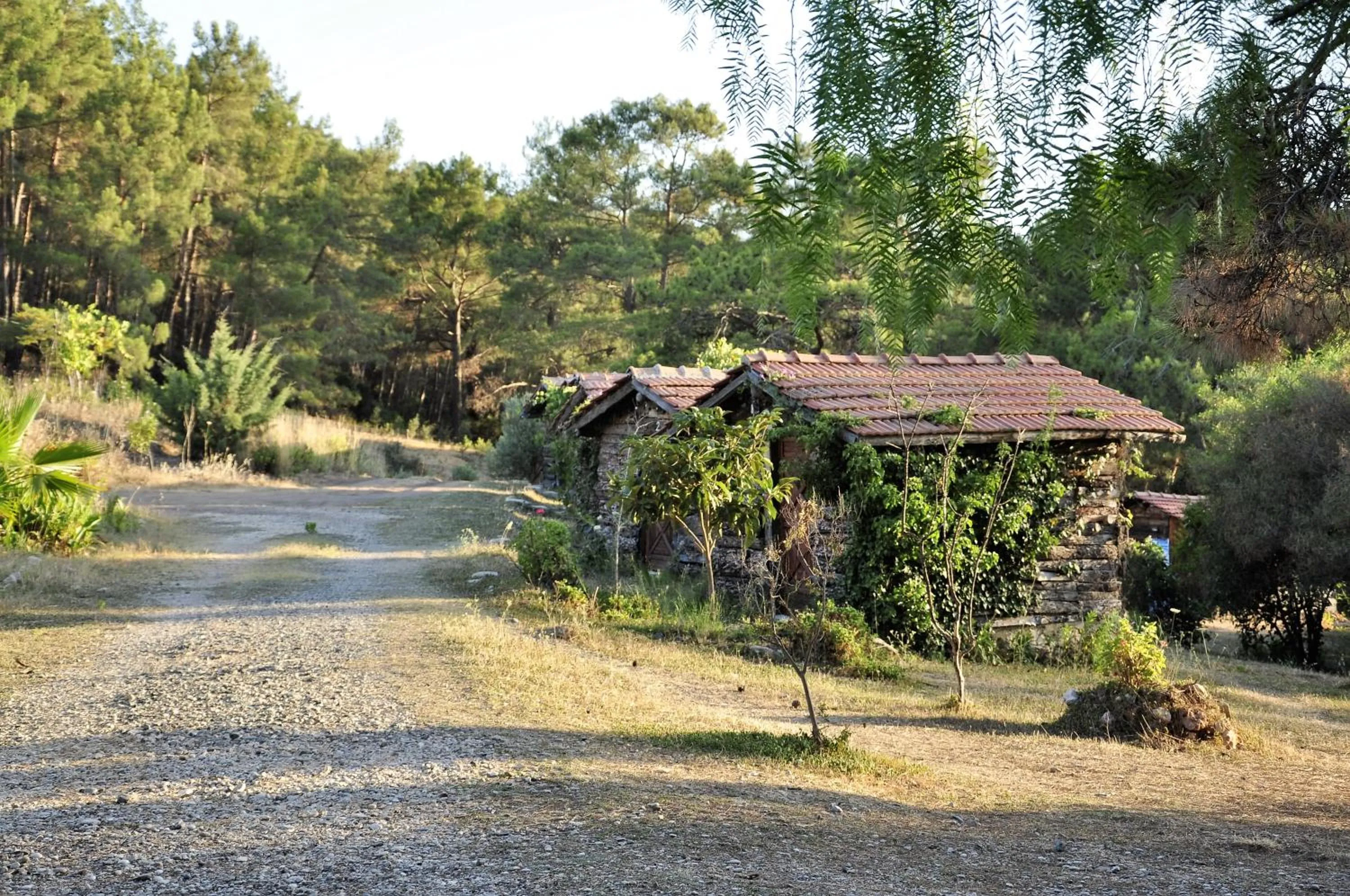 Other in HavaSuPark Bungalows