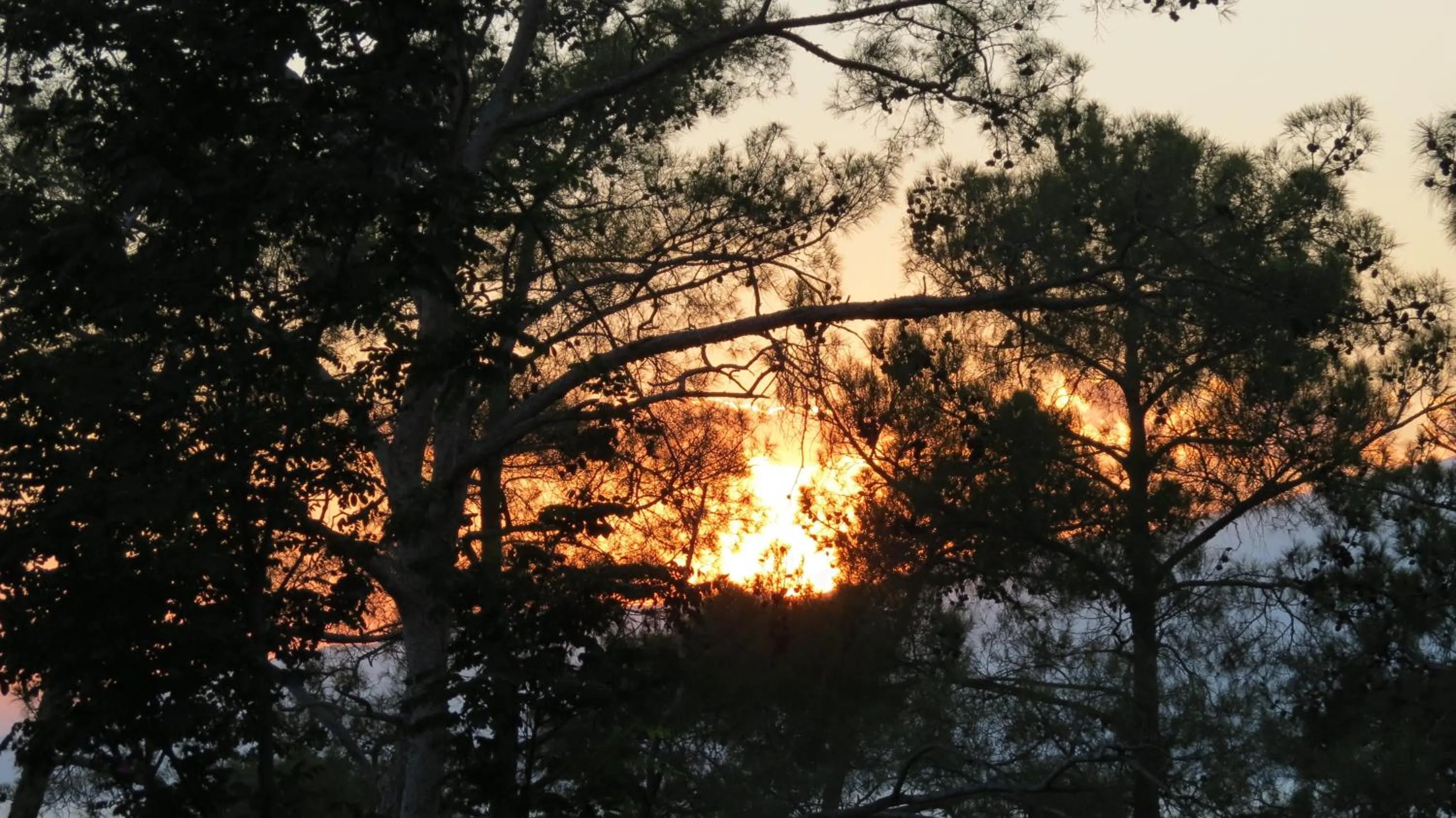 Property building in HavaSuPark Bungalows