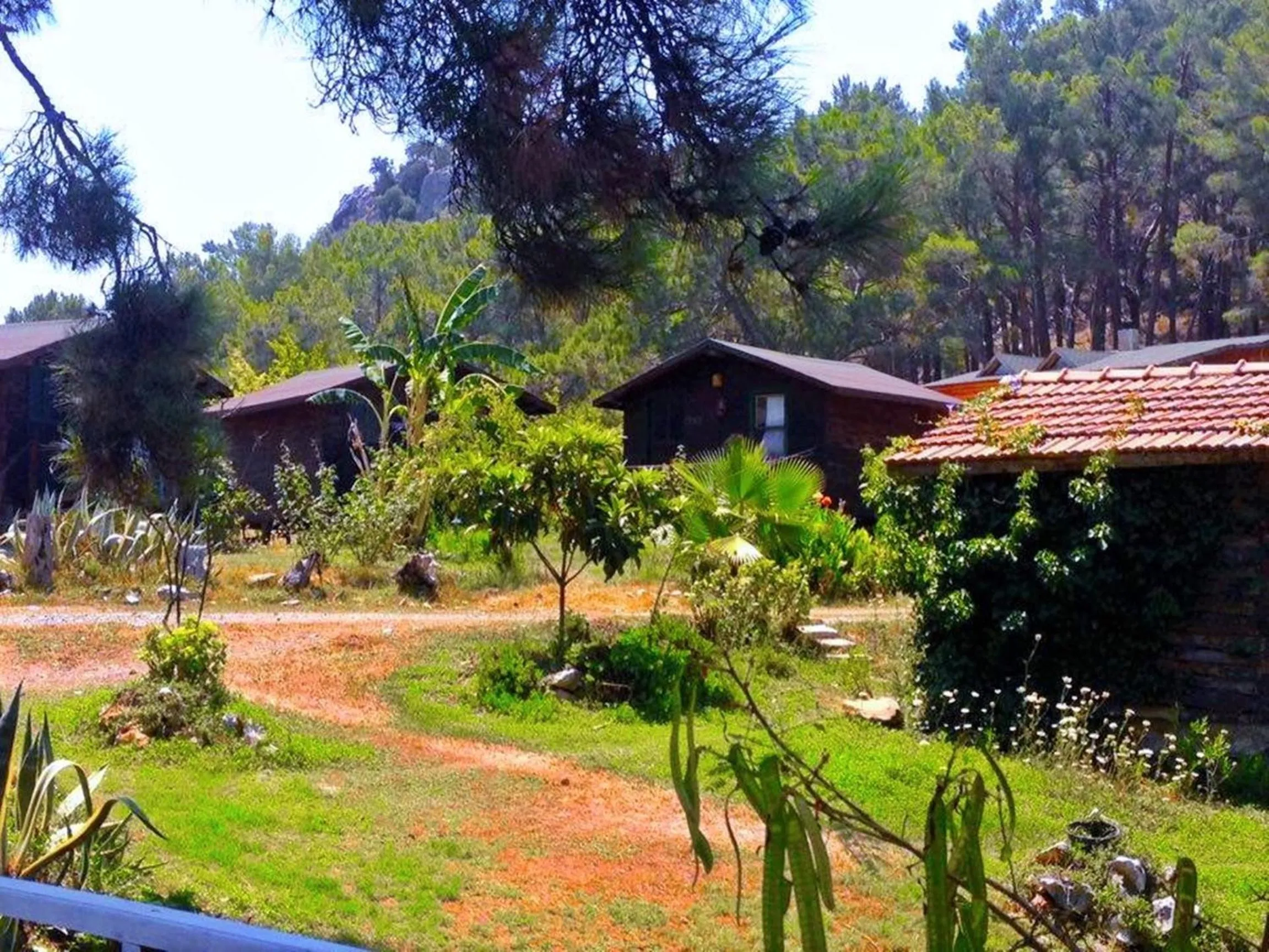 Property building in HavaSuPark Bungalows