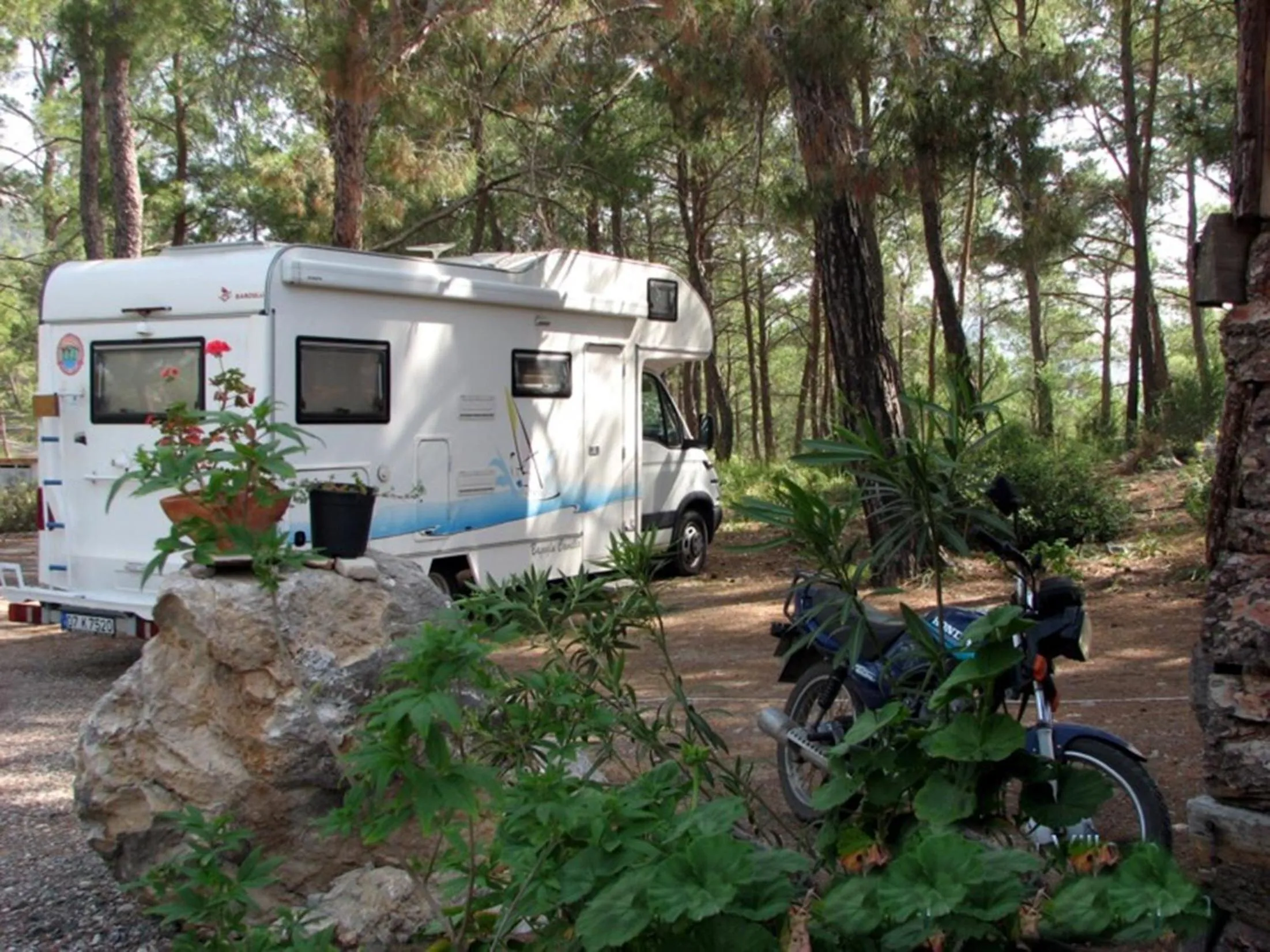 Garden in HavaSuPark Bungalows