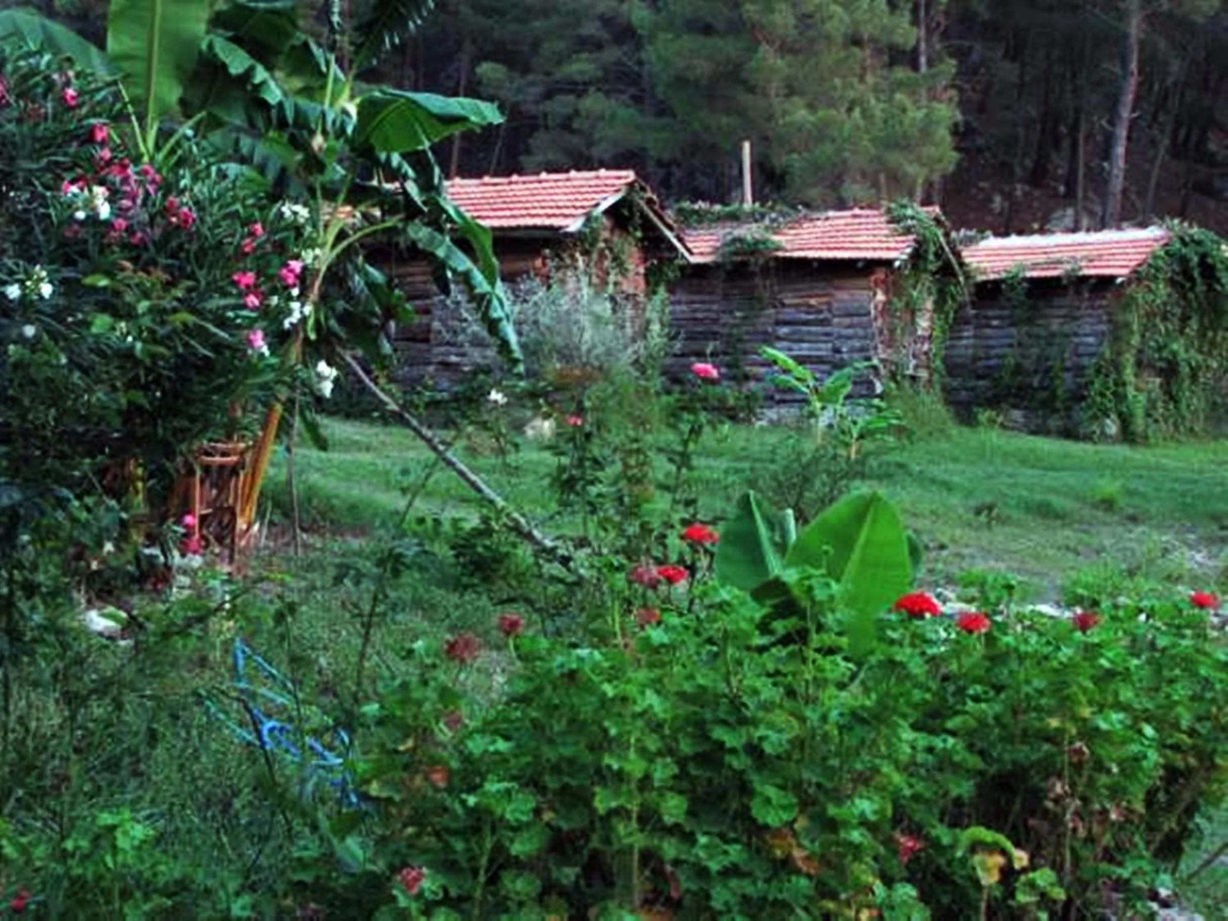 Photo of the whole room in HavaSuPark Bungalows