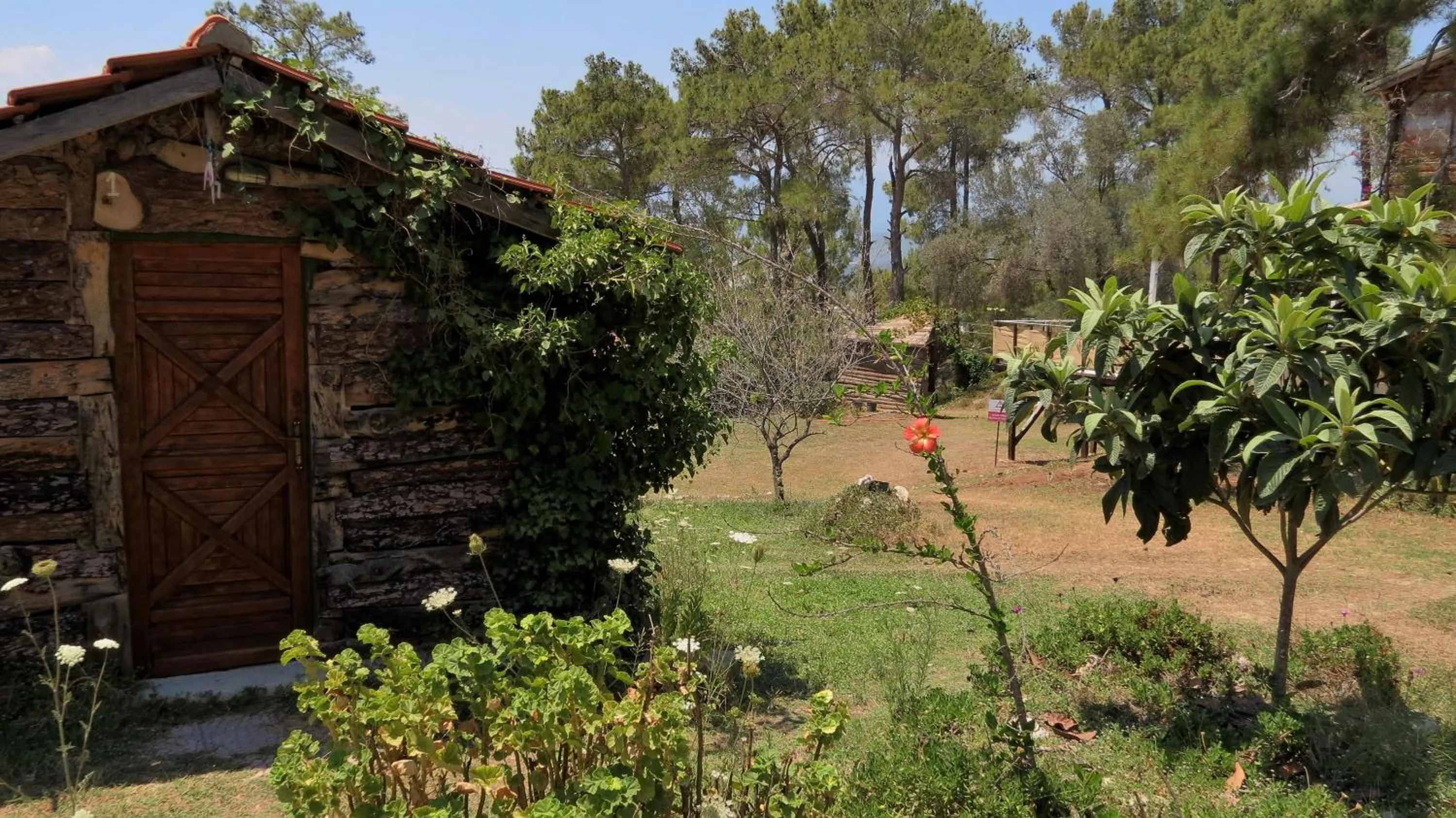 Photo of the whole room in HavaSuPark Bungalows