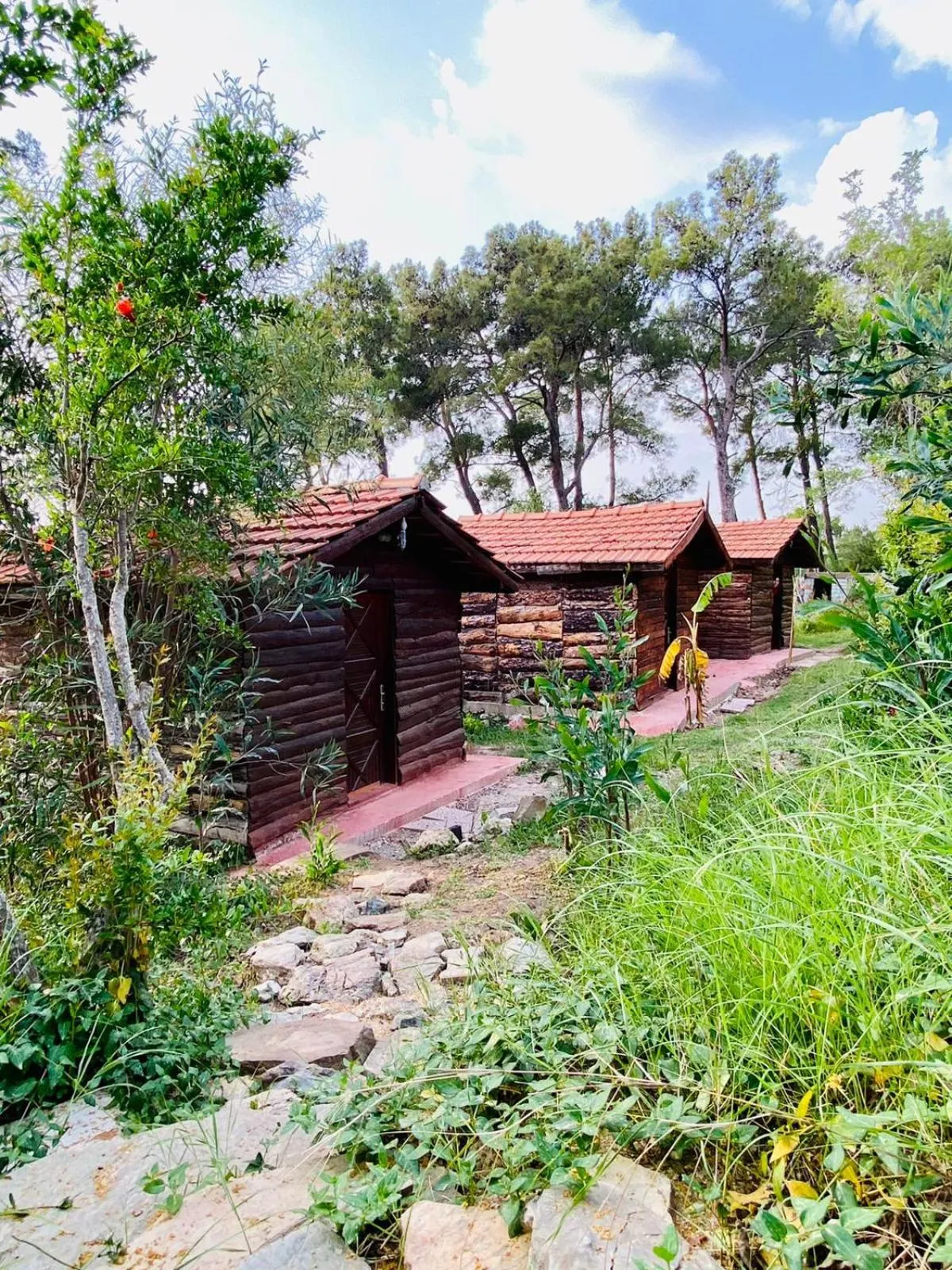 HavaSuPark Bungalows