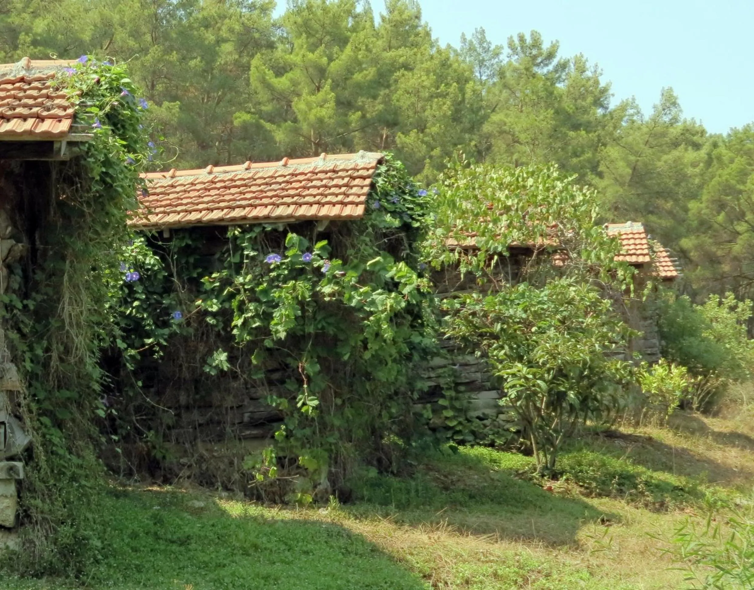 On site in HavaSuPark Bungalows