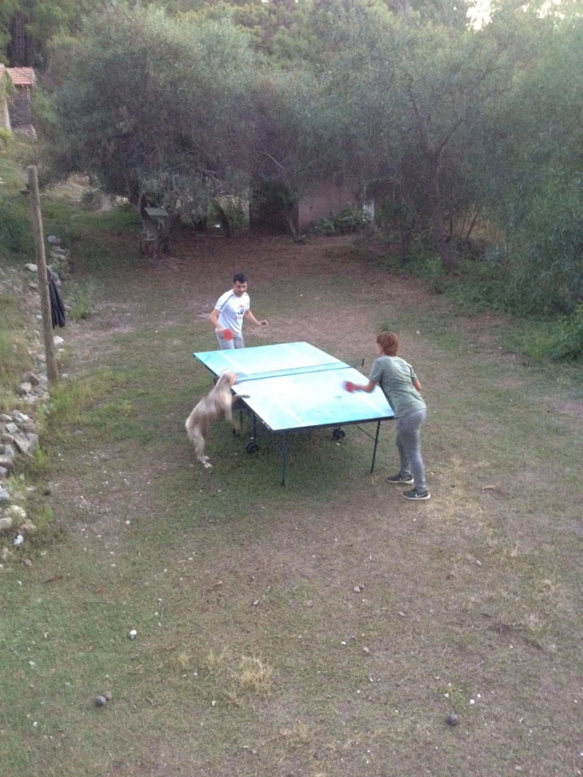 Fishing in HavaSuPark Bungalows