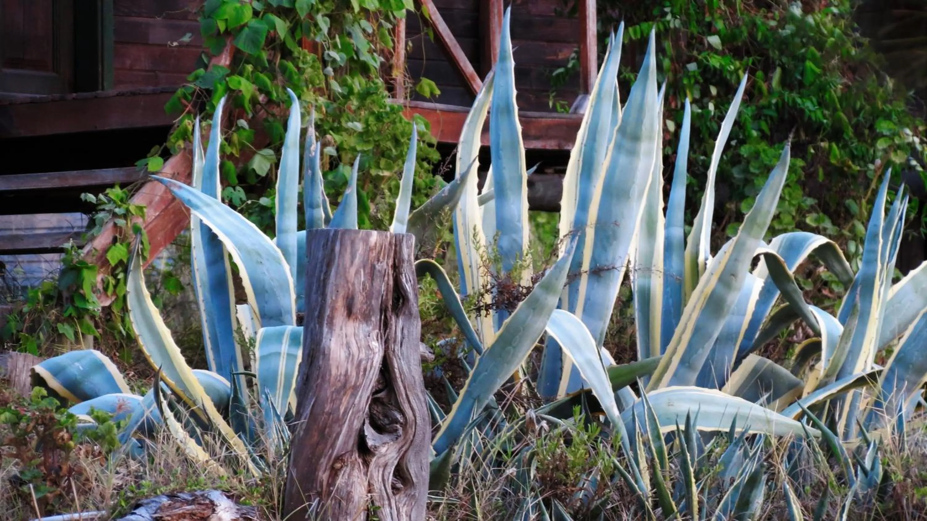 Property building in HavaSuPark Bungalows