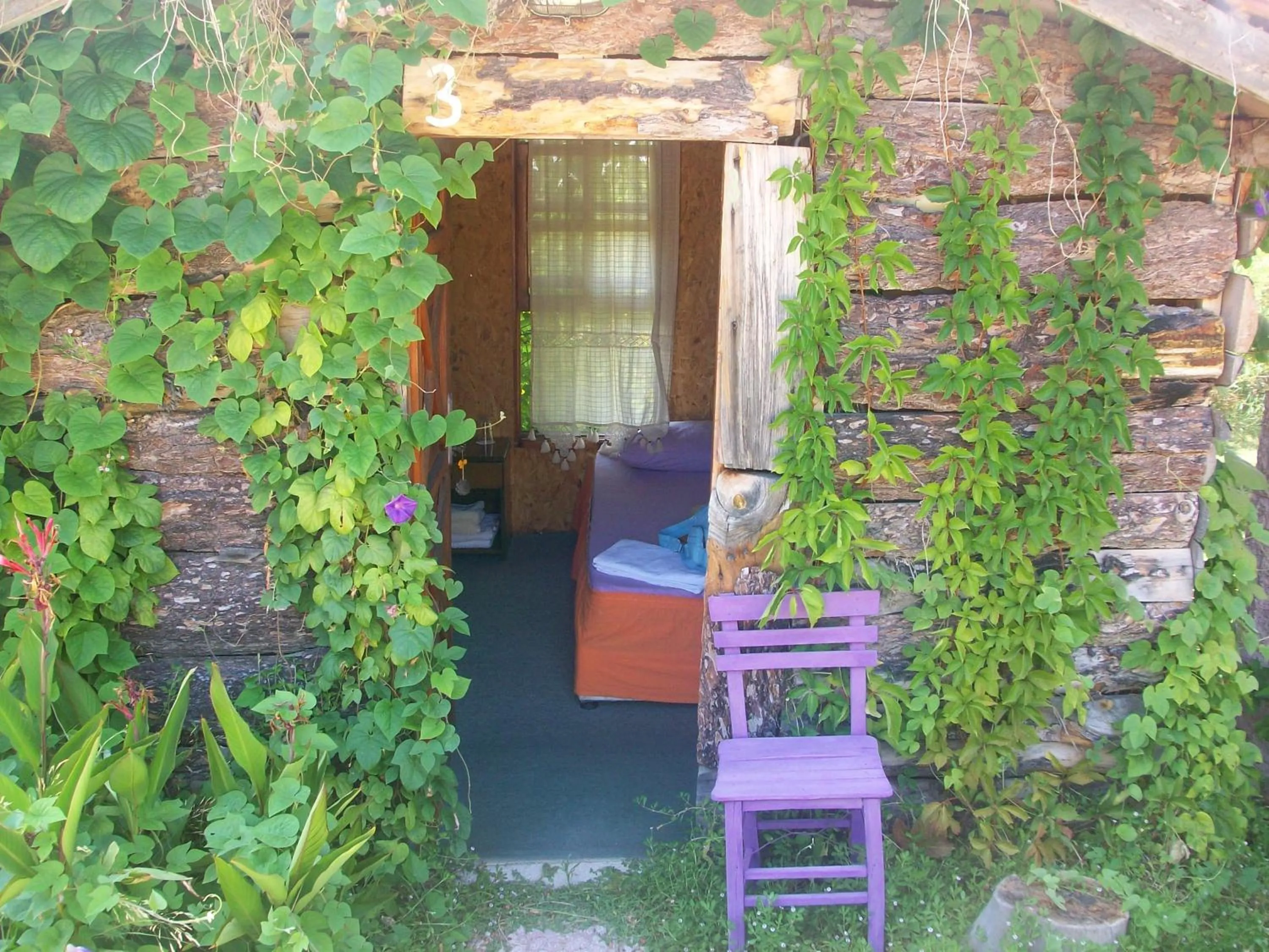 Photo of the whole room in HavaSuPark Bungalows