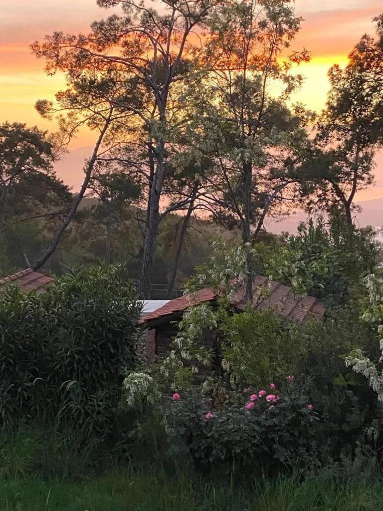 HavaSuPark Bungalows