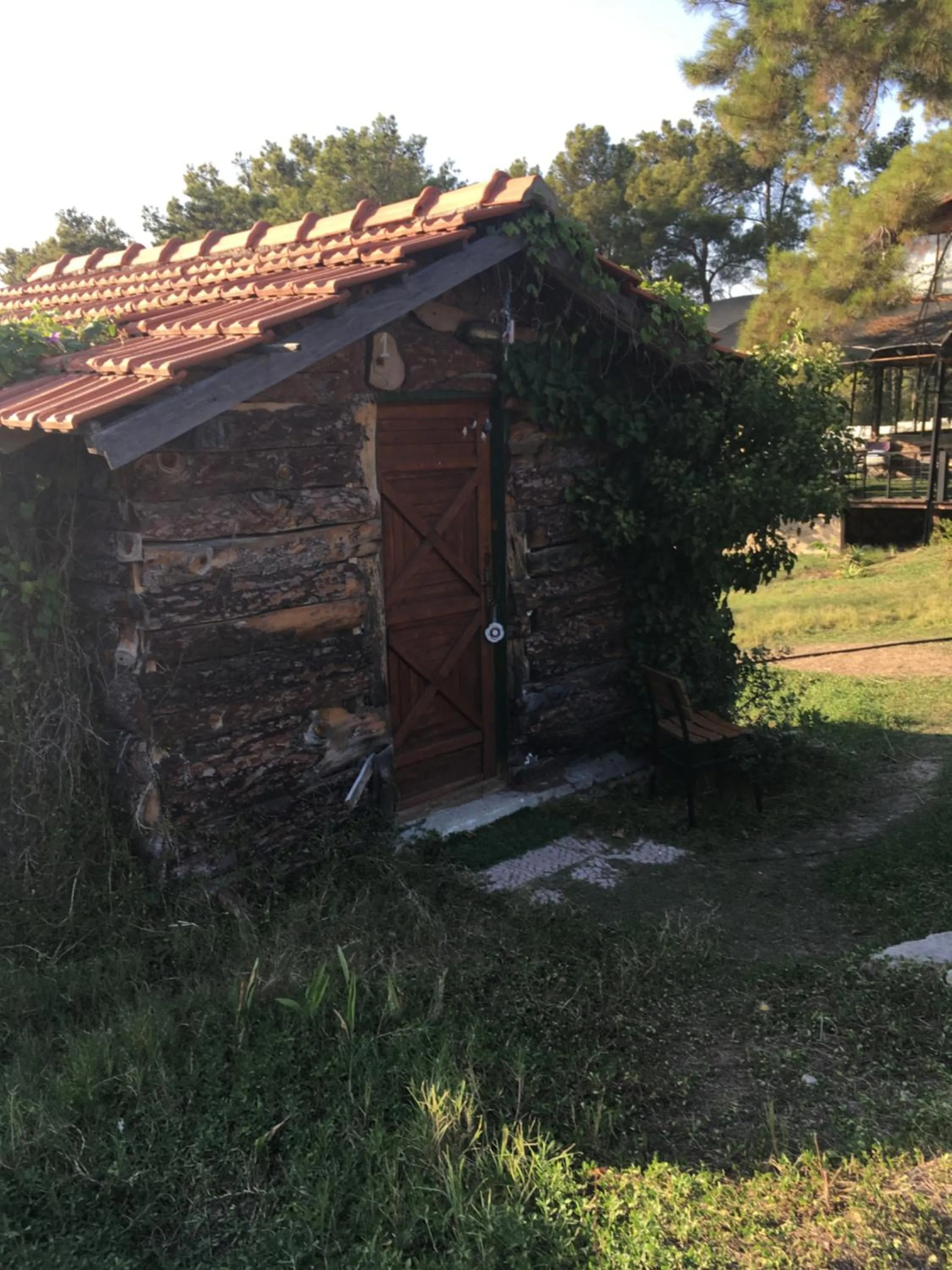 Other in HavaSuPark Bungalows