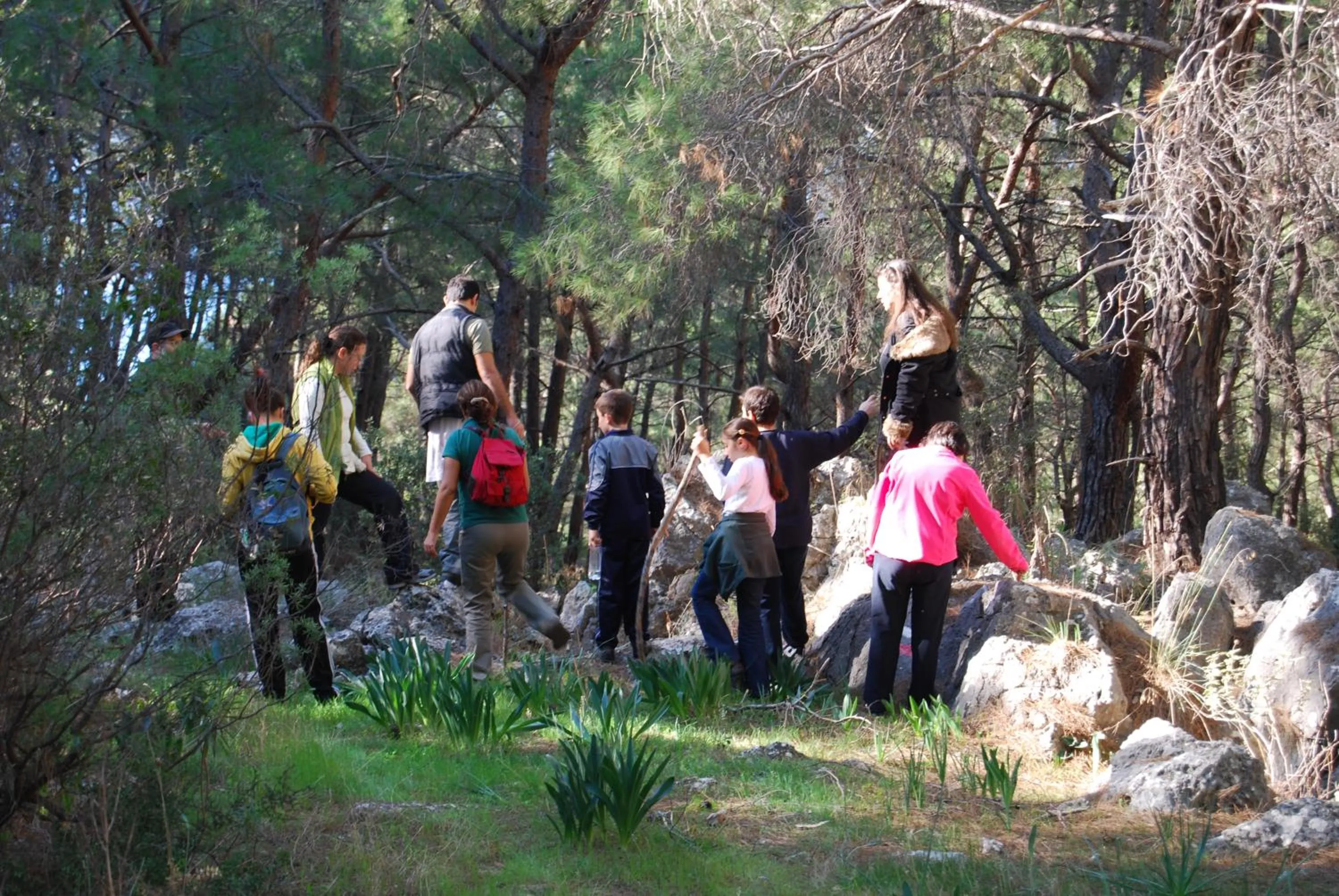 Off site in HavaSuPark Bungalows
