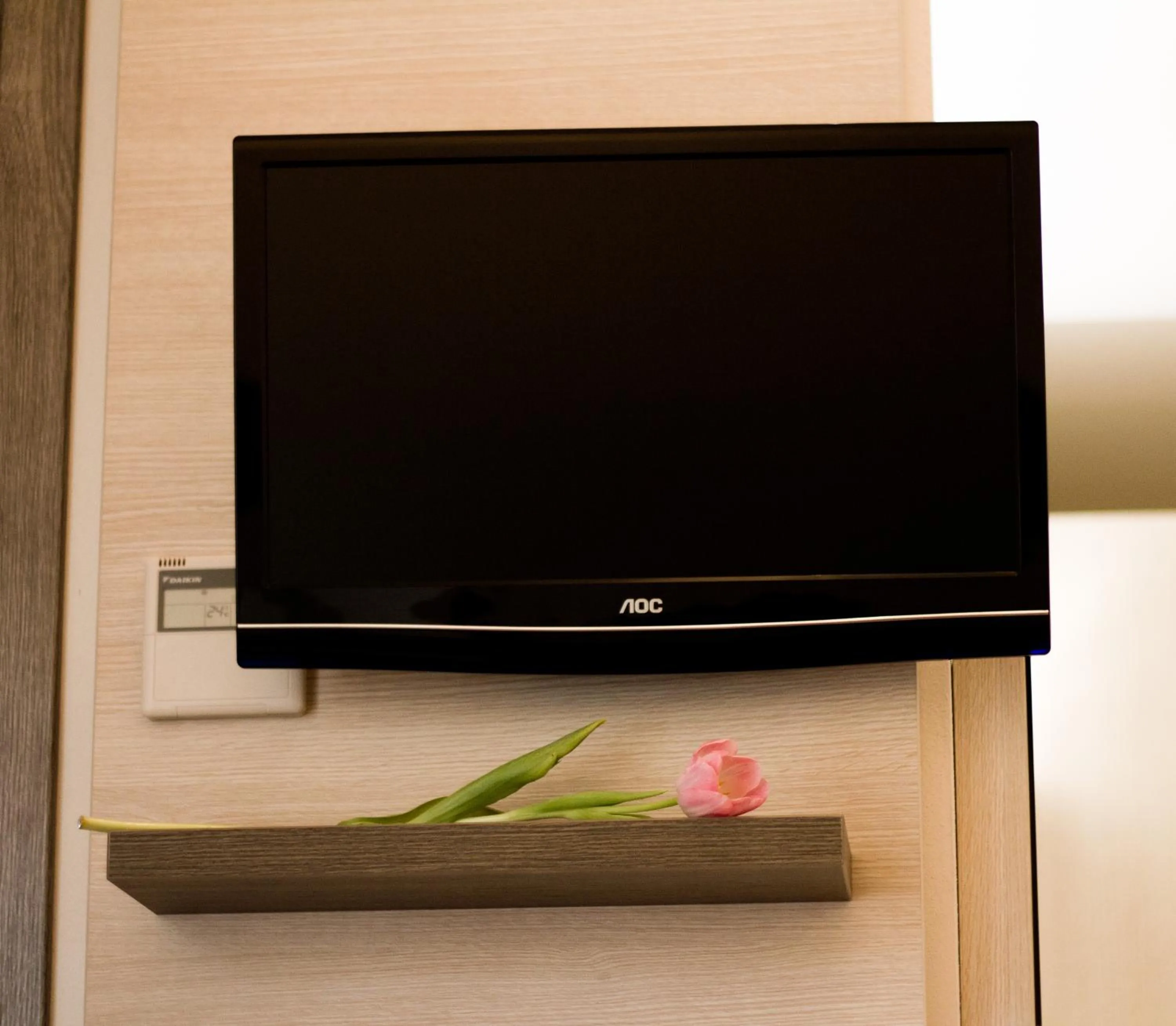 TV and multimedia in Hotel Siena