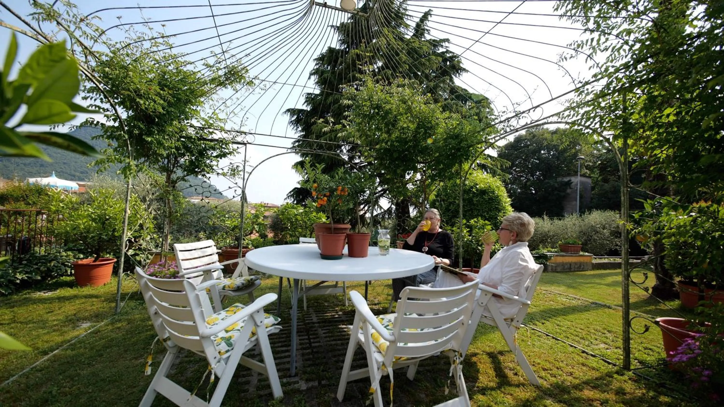 Garden in Hotel Garden