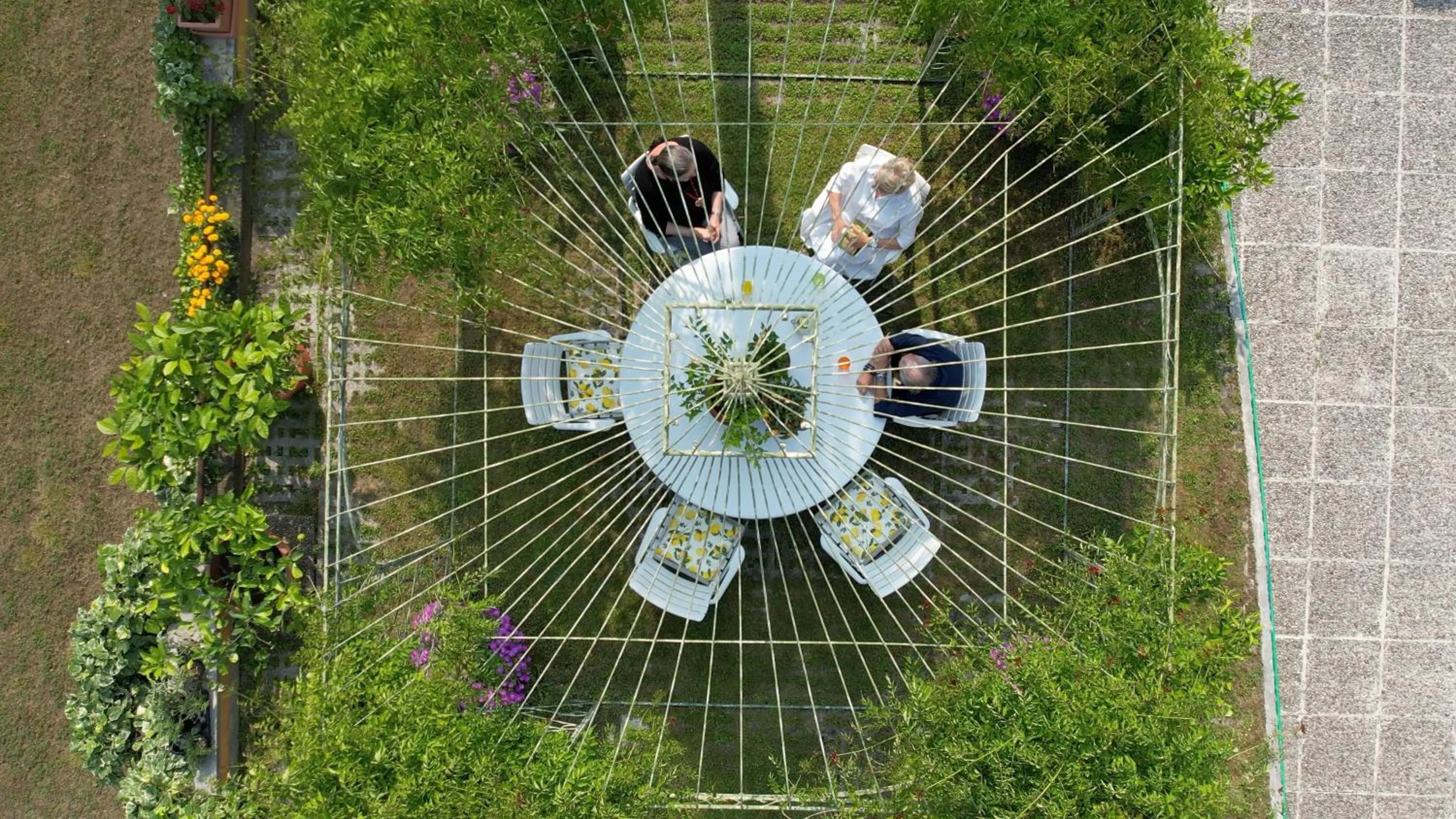 Garden in Hotel Garden