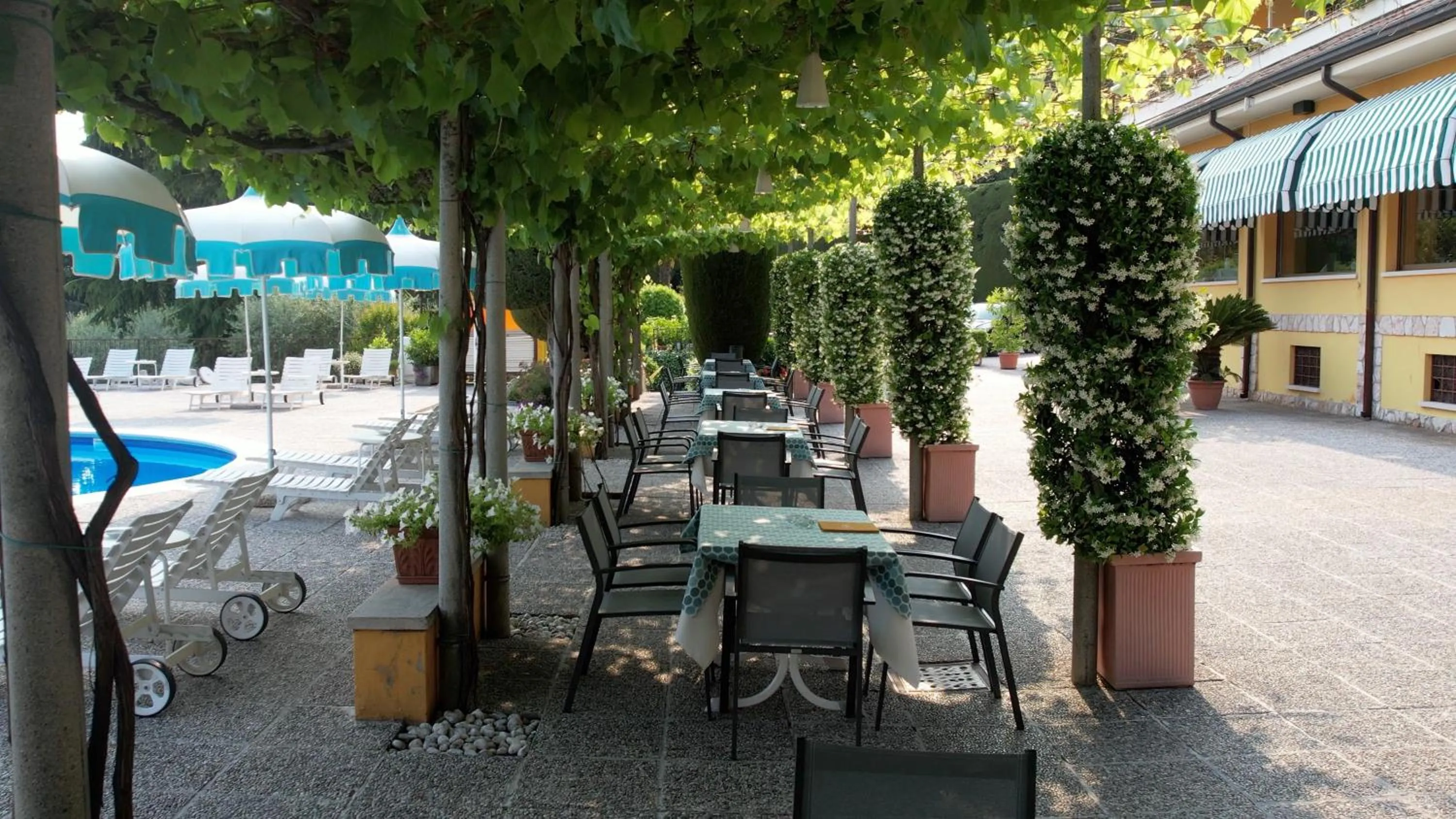 Restaurant/places to eat in Hotel Garden