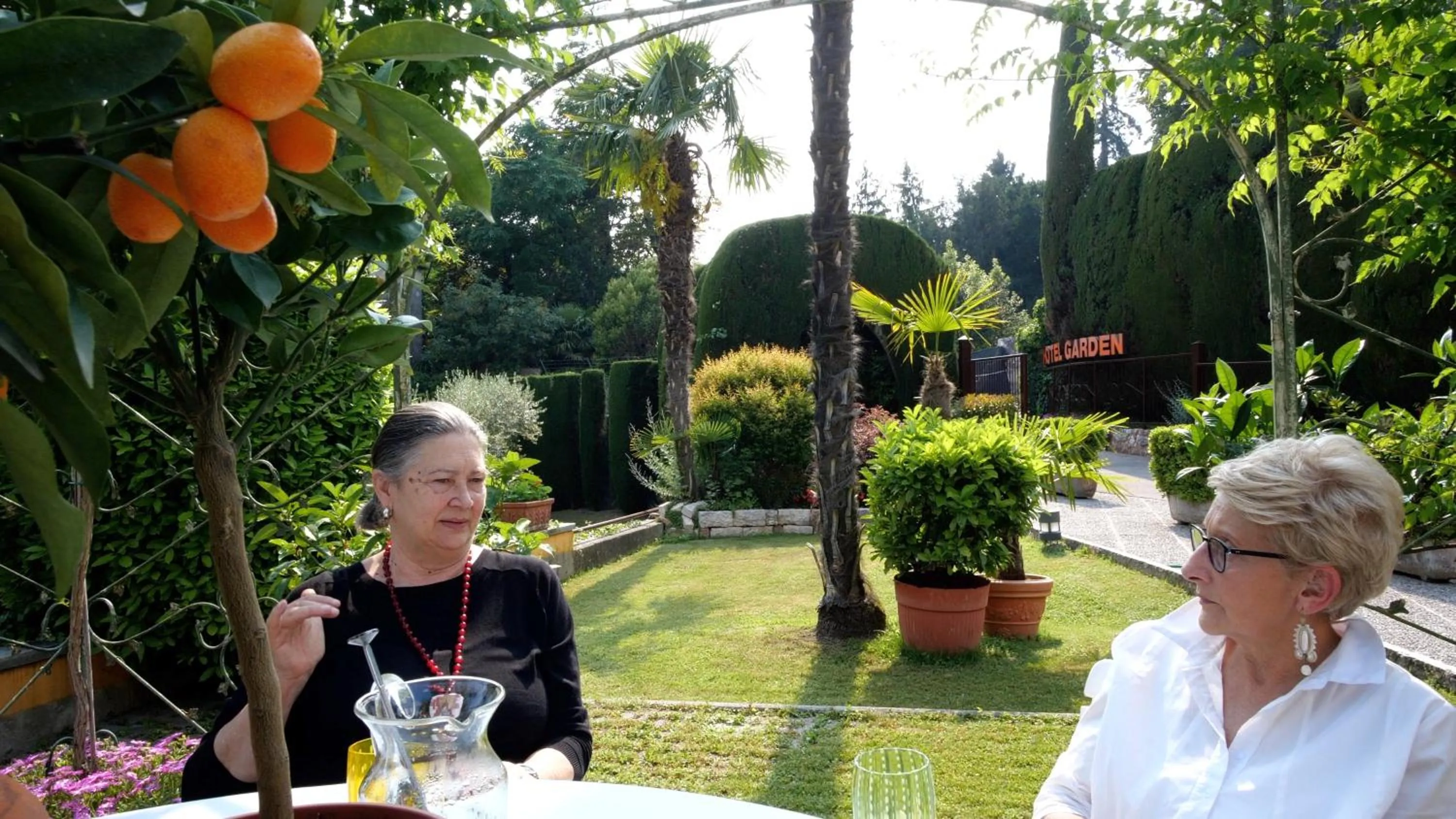 Garden in Hotel Garden